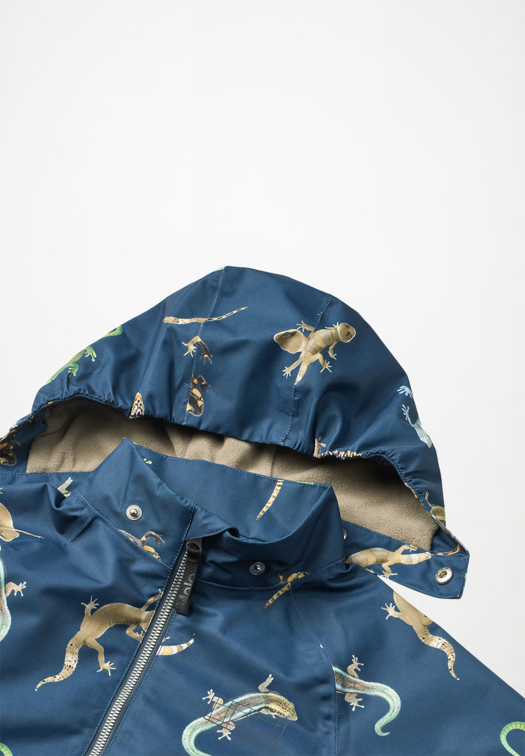 Hoplas Gecko Oceanica