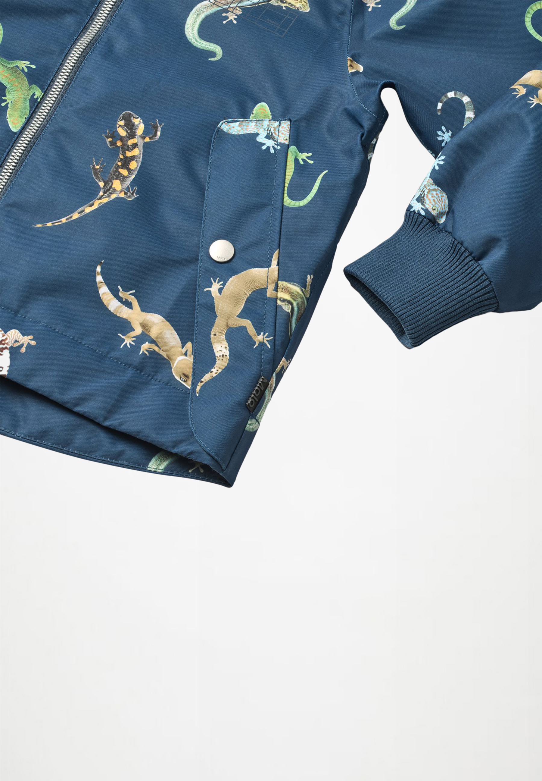 Hoplas Gecko Oceanica