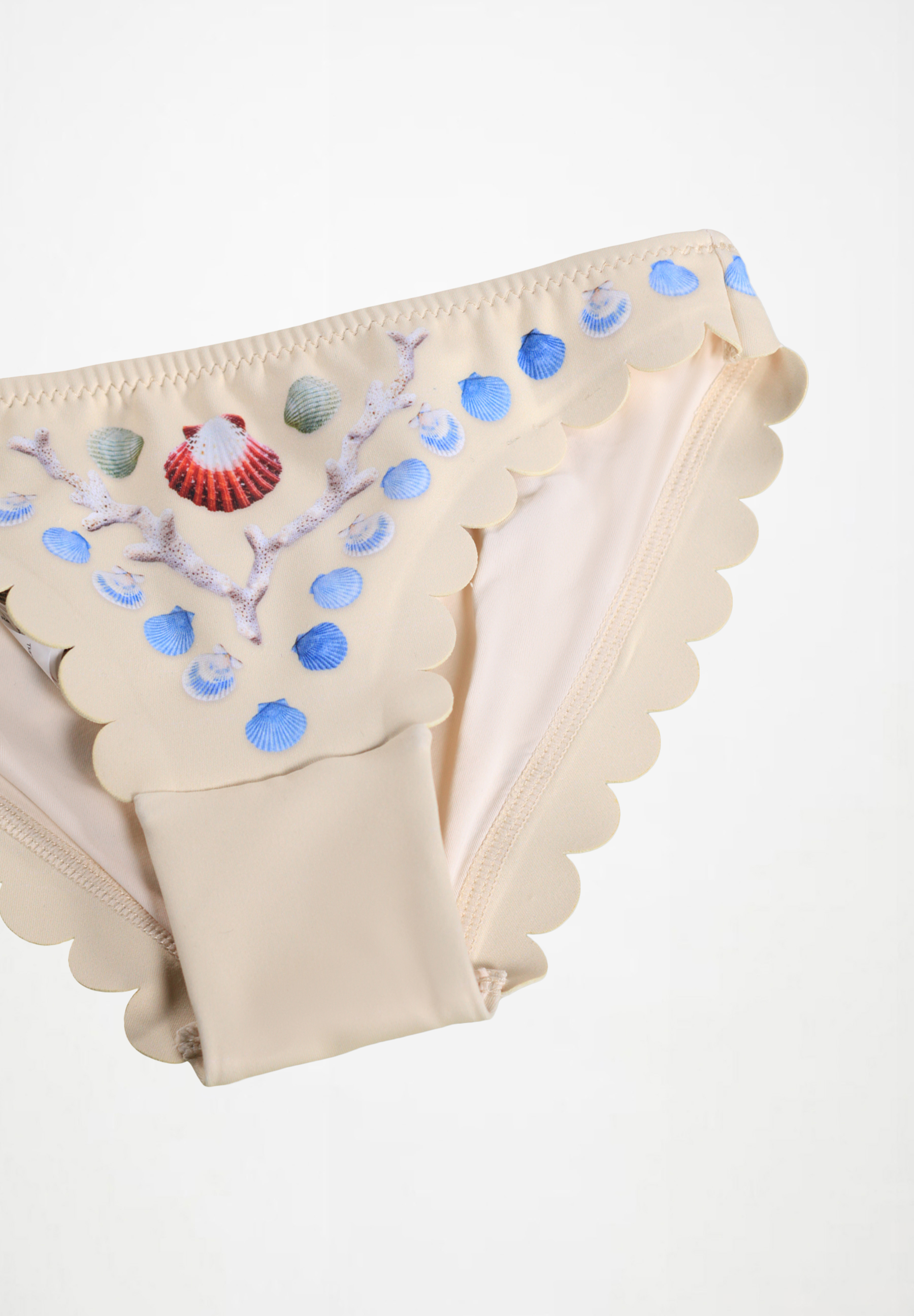 Nolina Sea Shell Deco