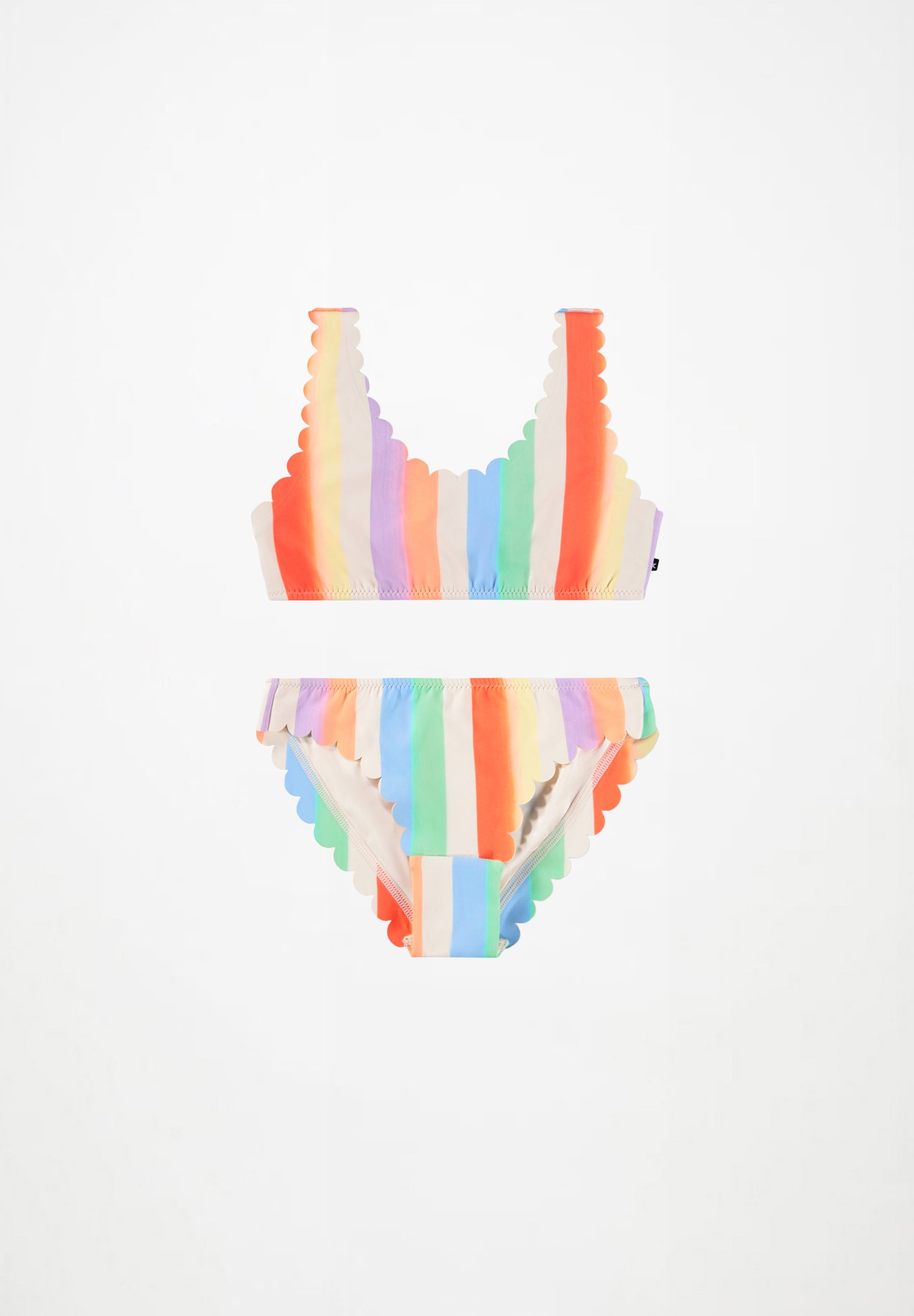 Nolina Rainbow Paint