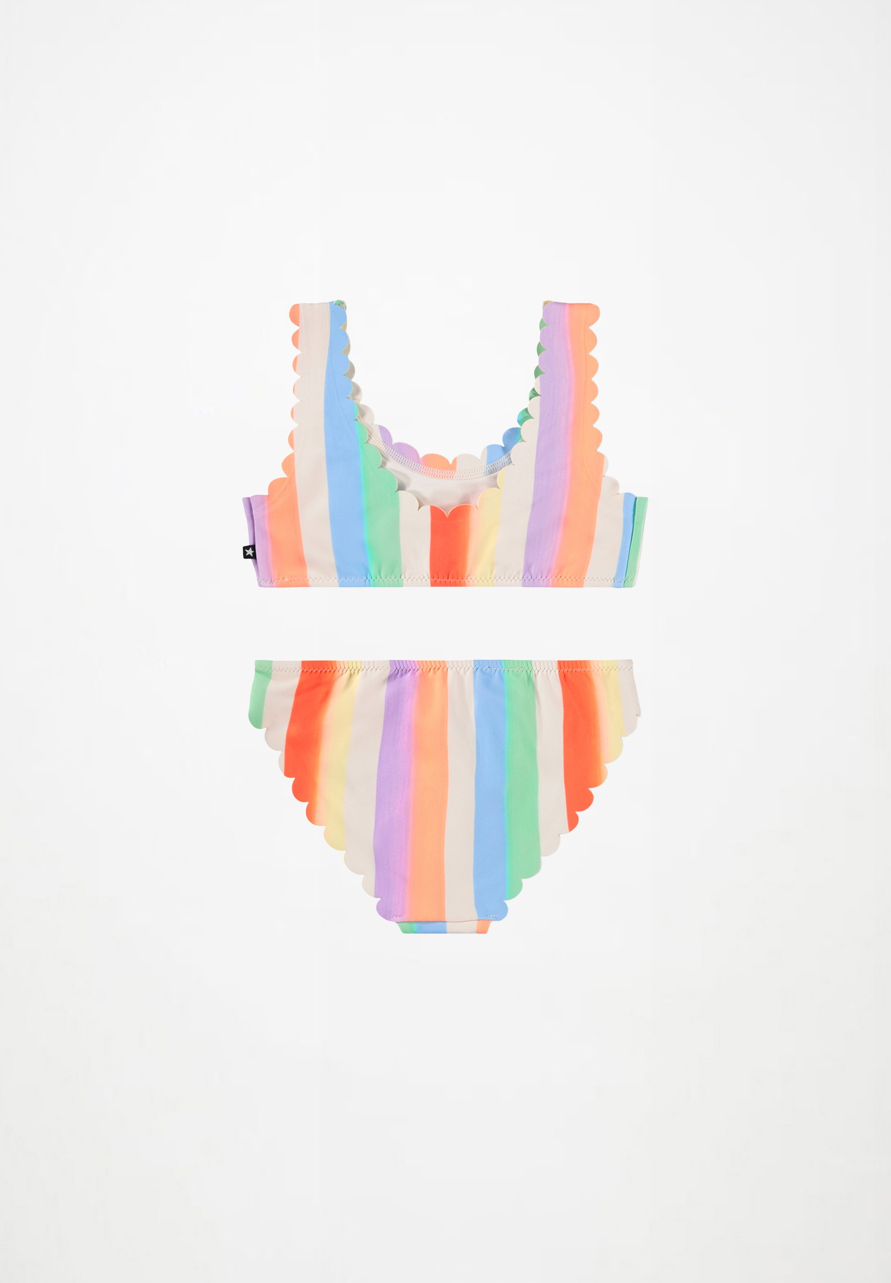 Nolina Rainbow Paint