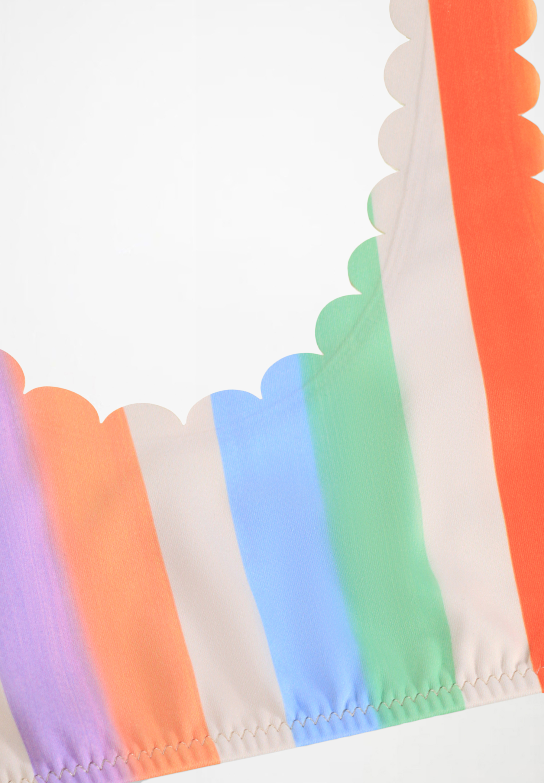 Nolina Rainbow Paint