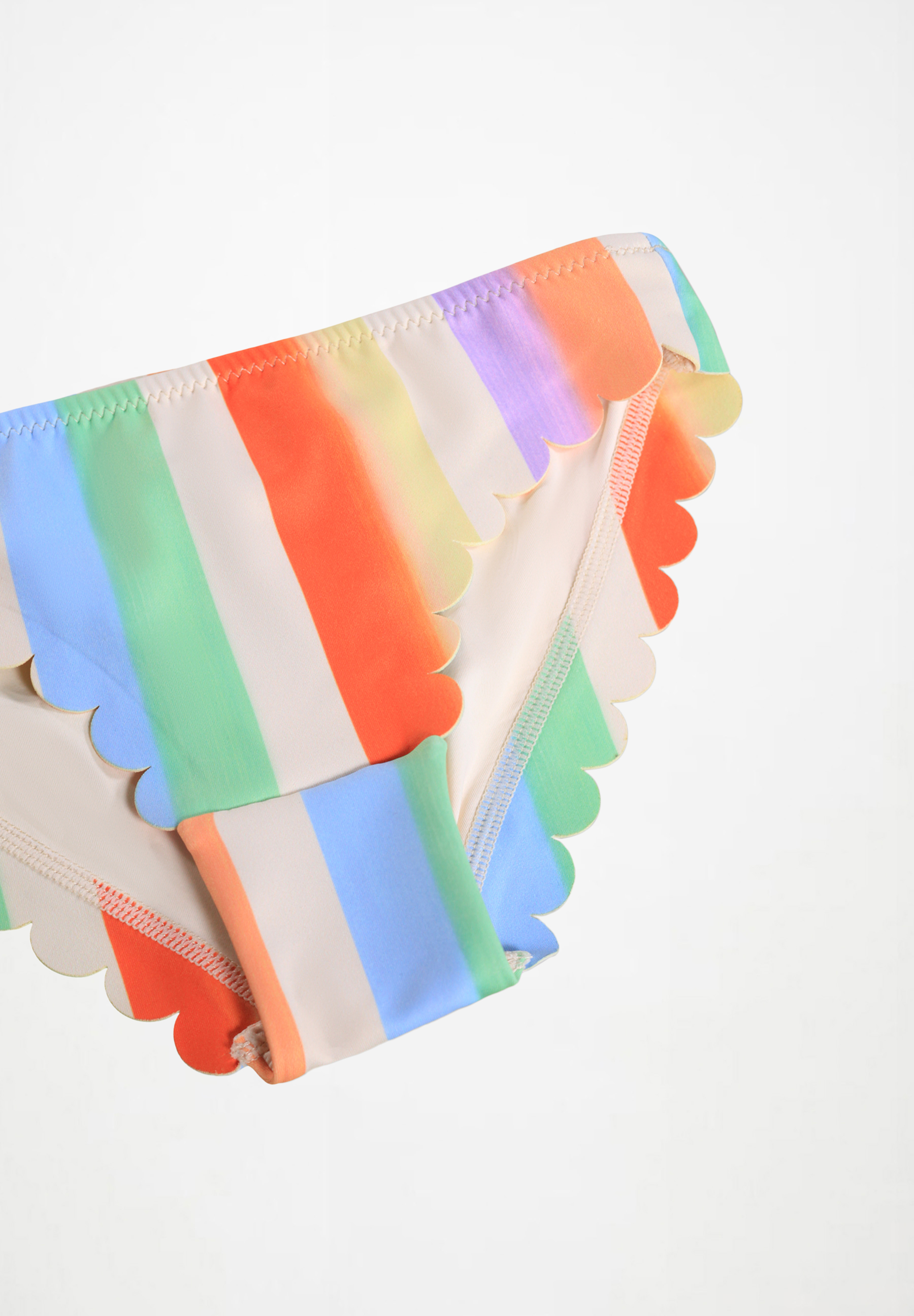 Nolina Rainbow Paint