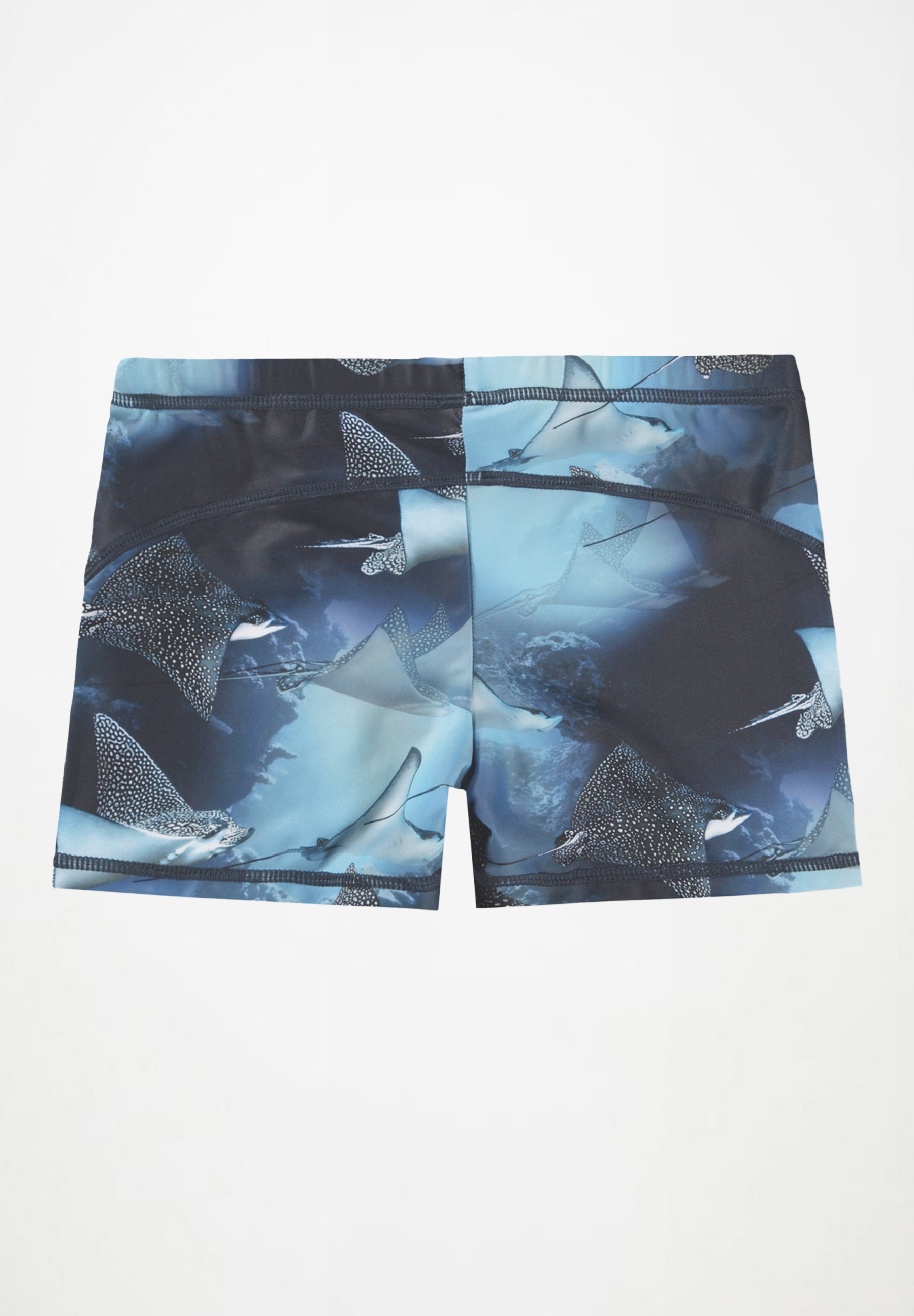 Norton Into The Blue