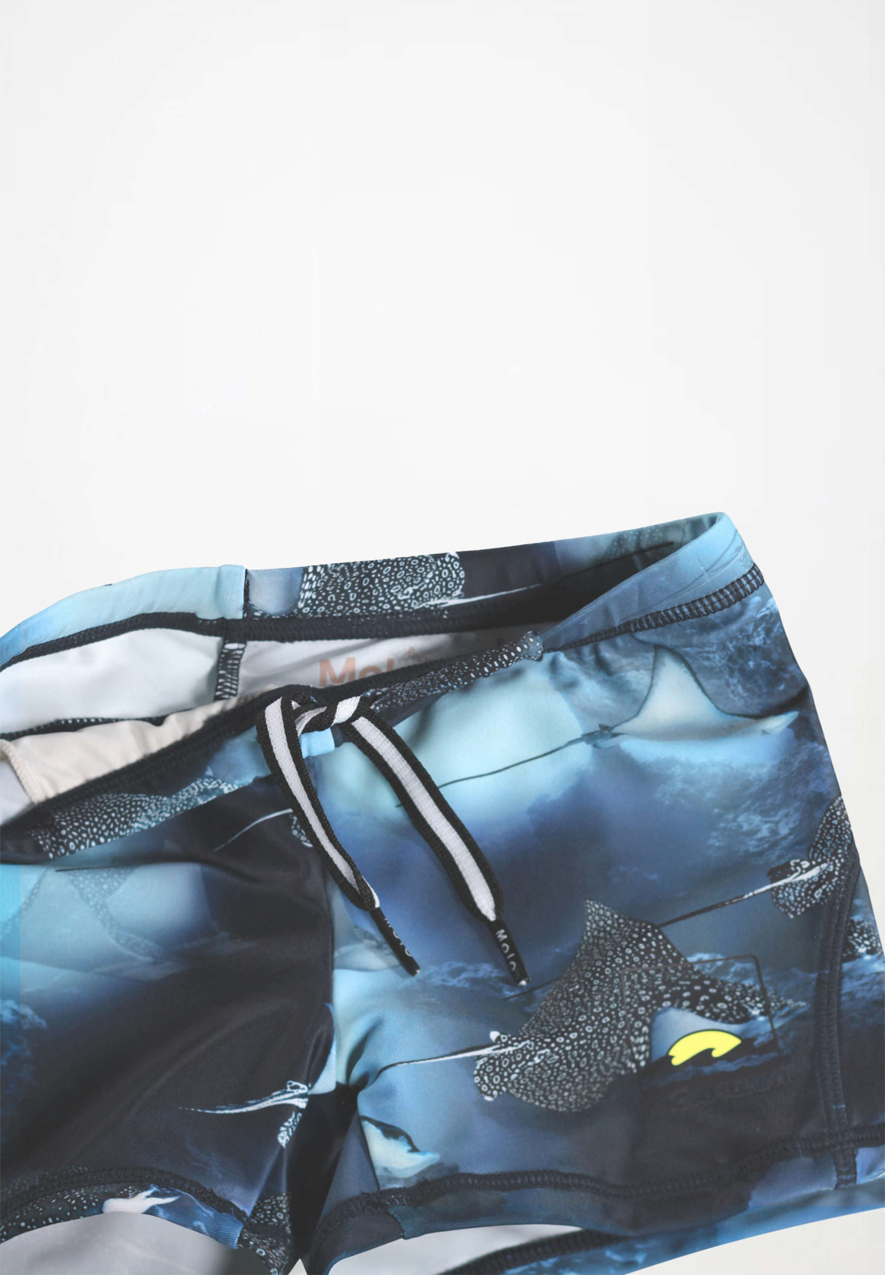 Norton Into The Blue