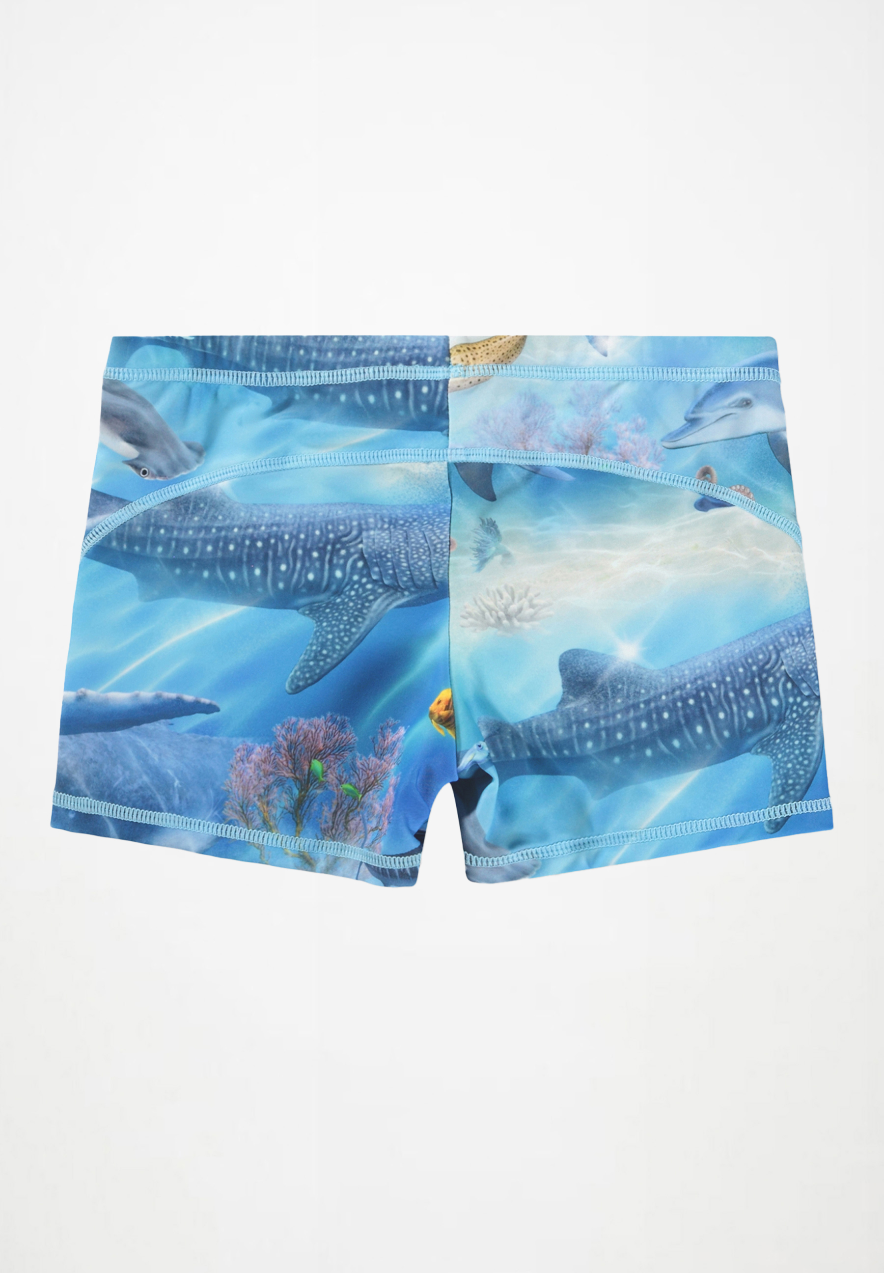 Norton Air Brush Ocean