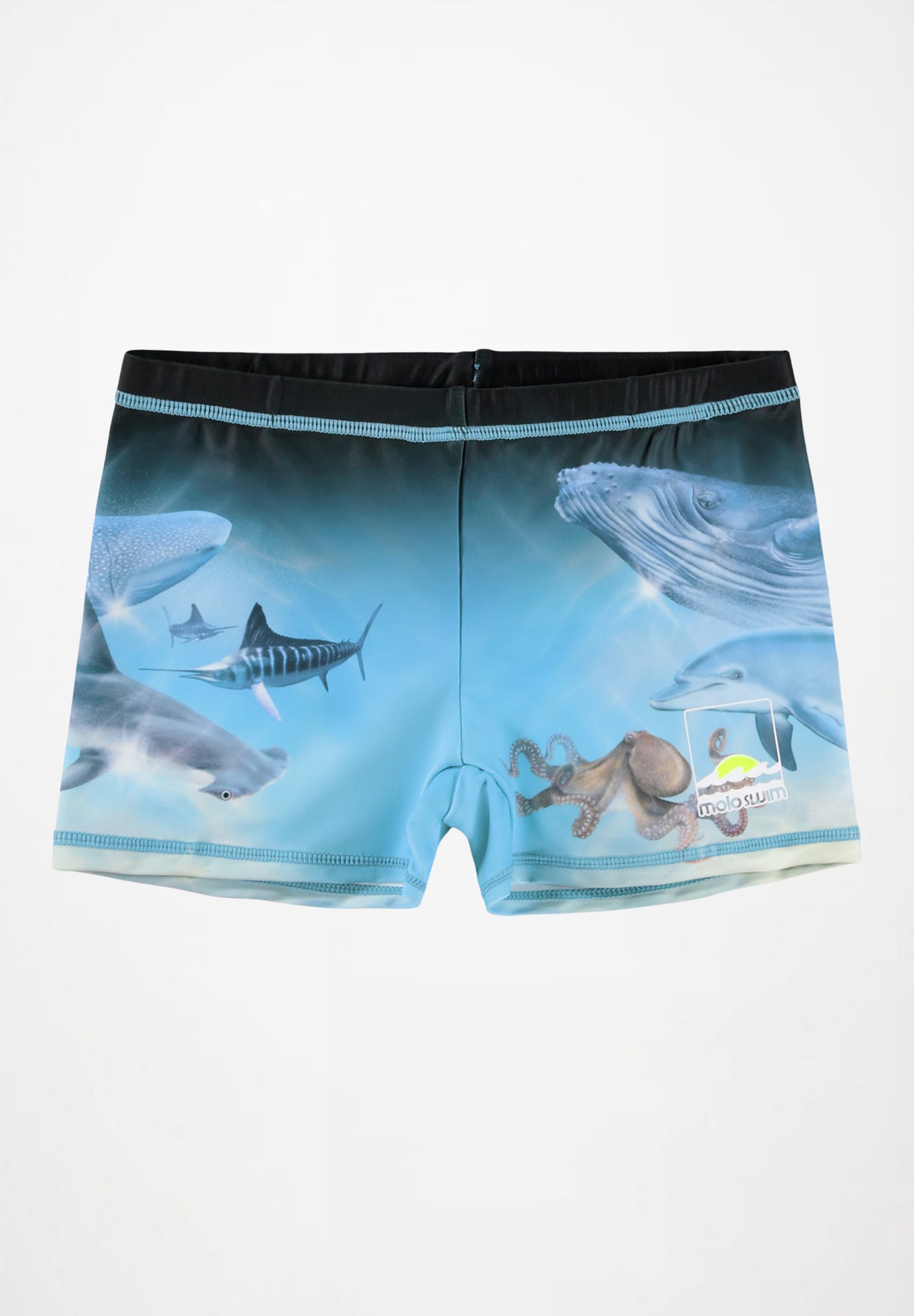 Norton Placed Trunks