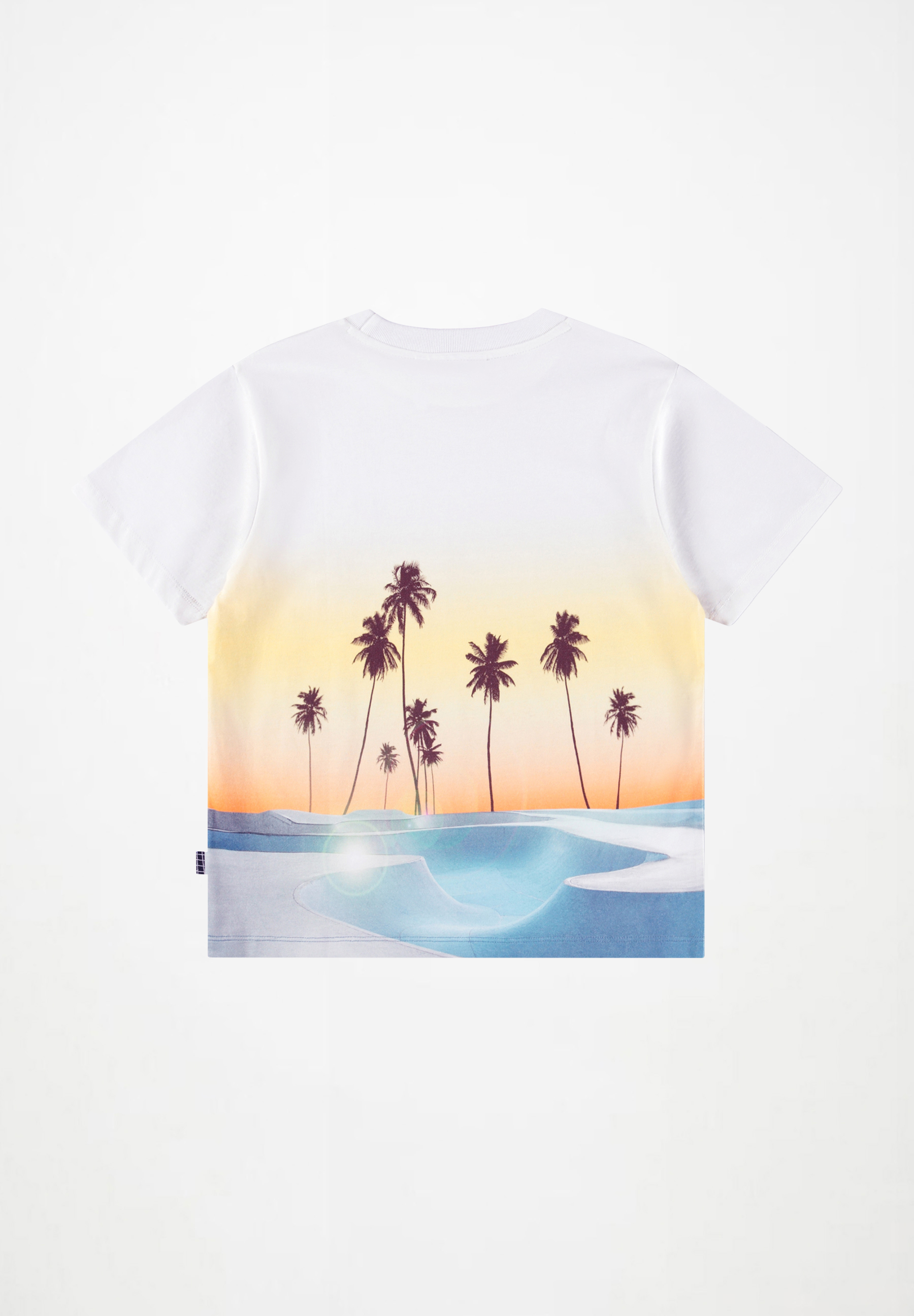 Rodney Sunrise Skate