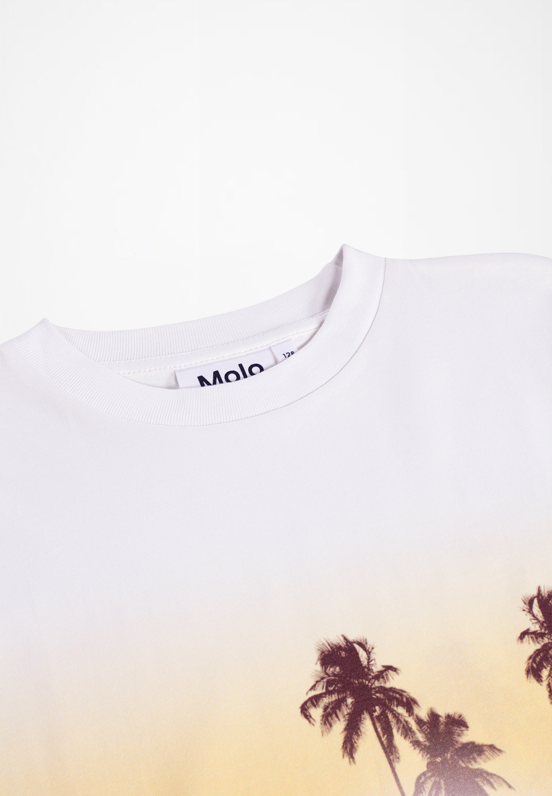 Rodney Sunrise Skate