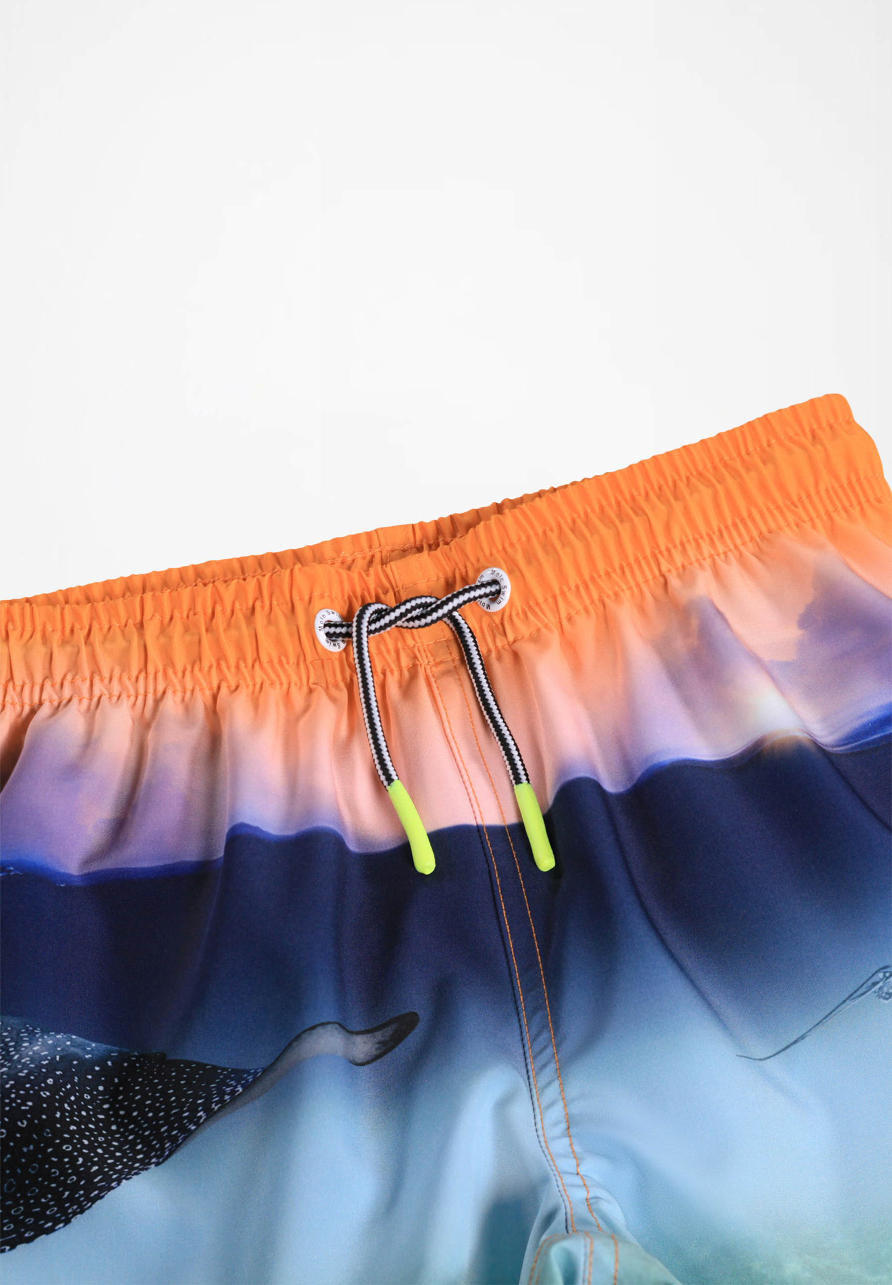 Niko Into The Sunset