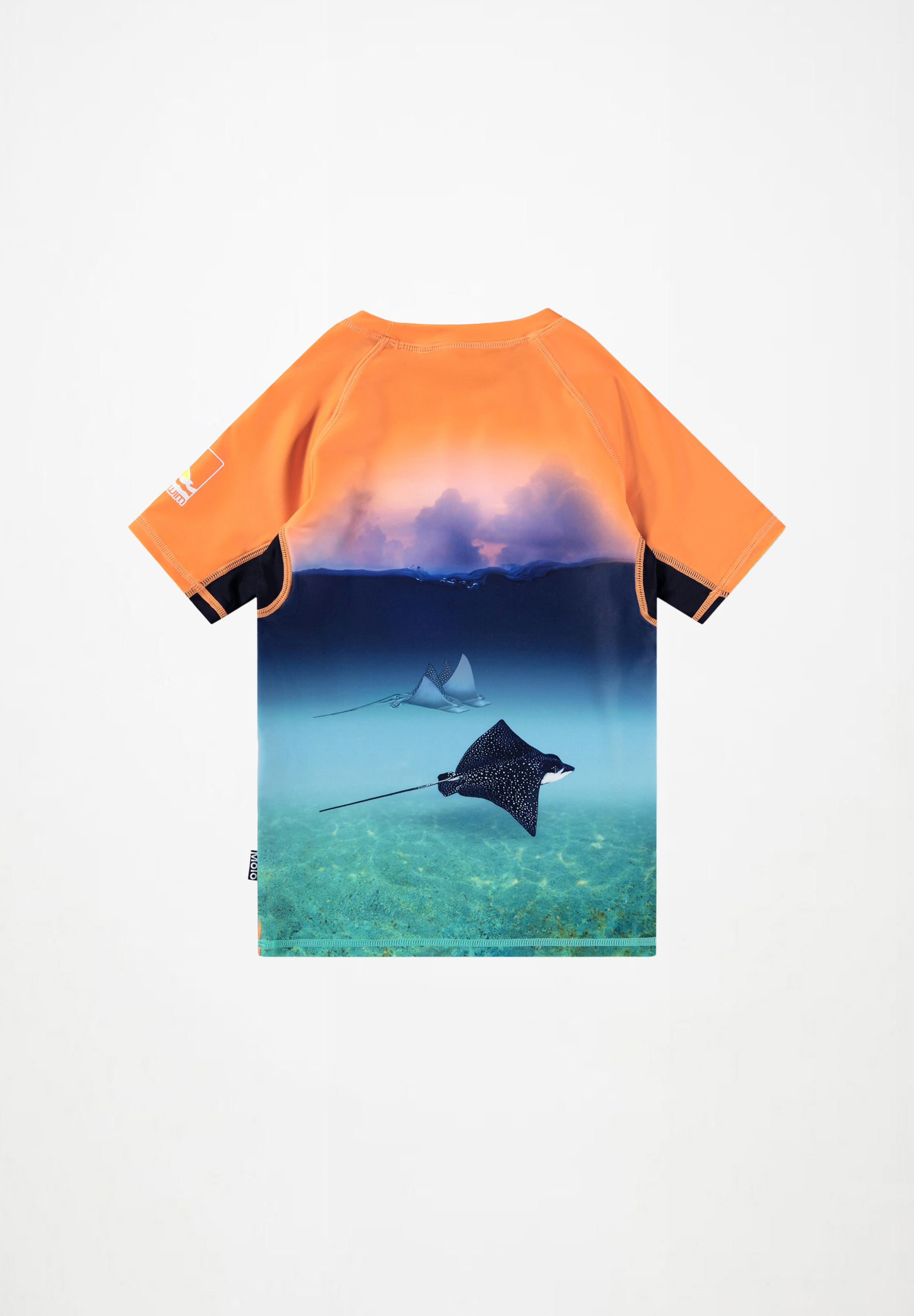 Neptune Into The Sunset