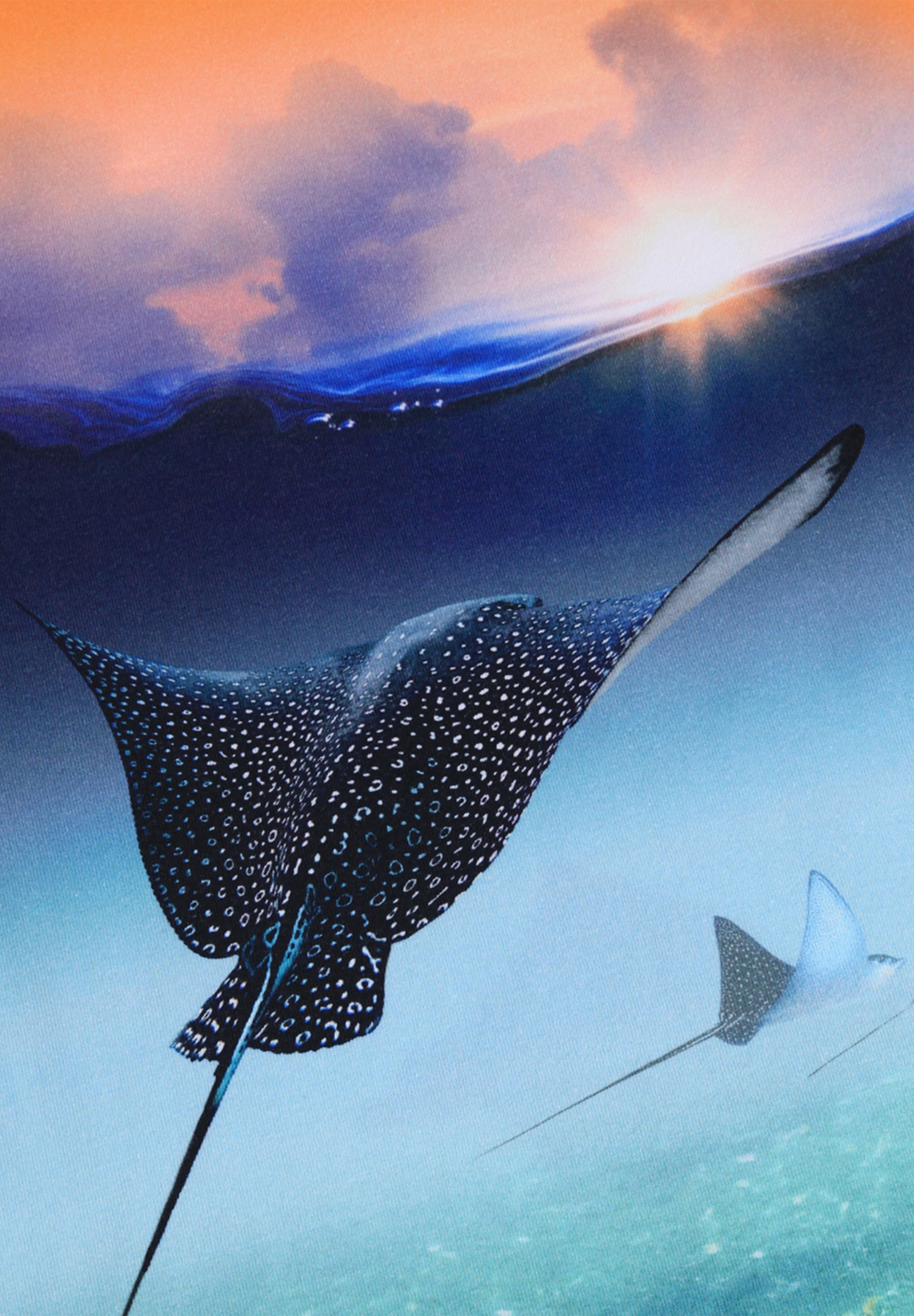 Raul Into The Sunset