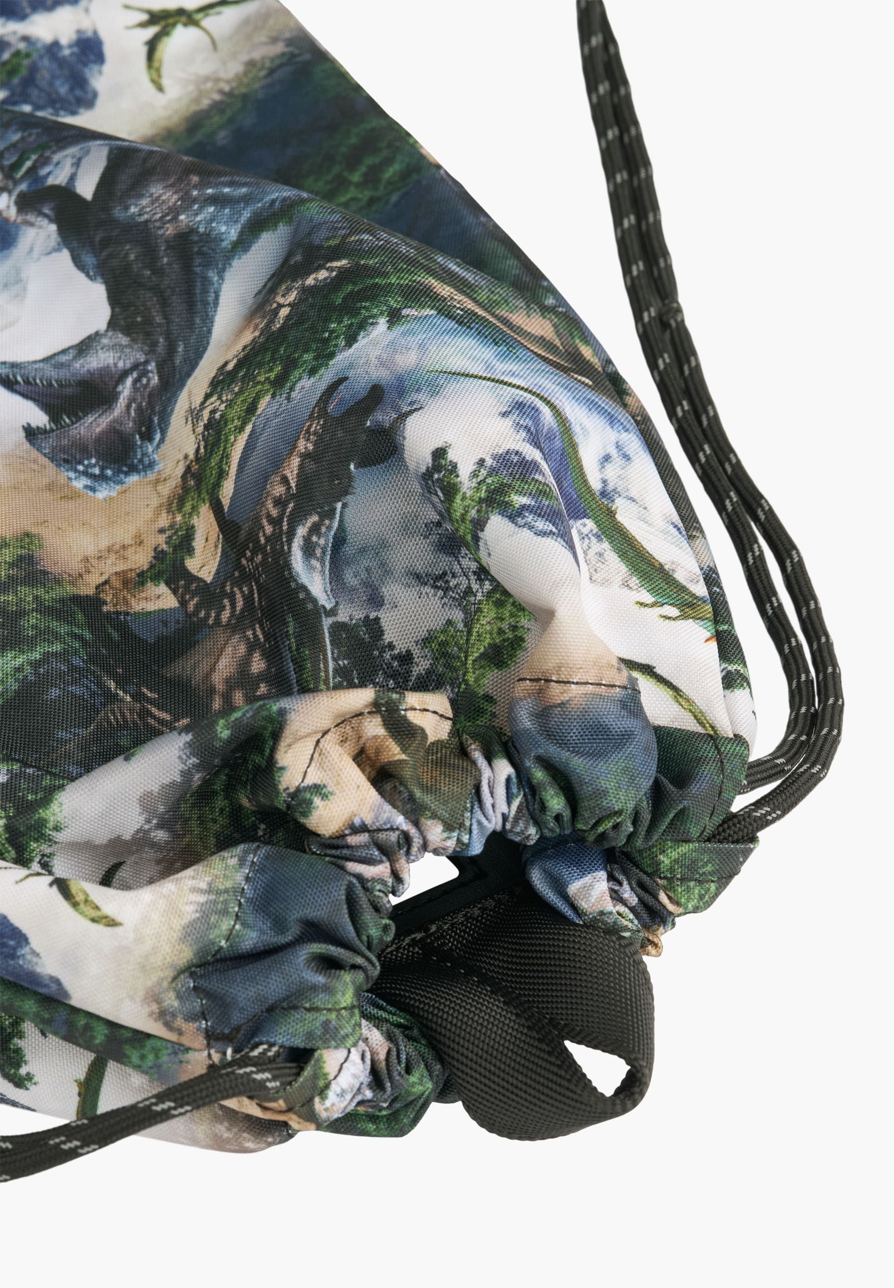Gym Bag Mountain Dino