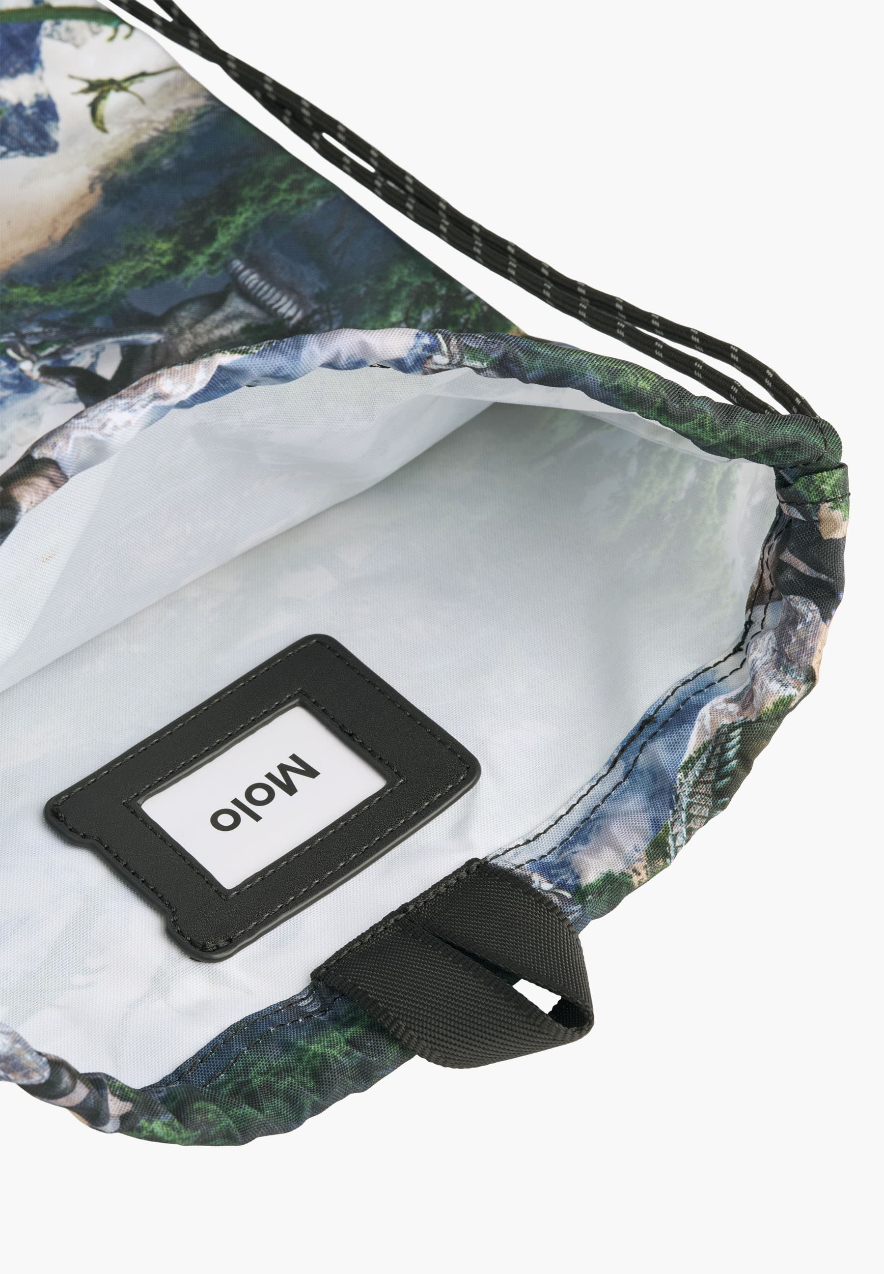 Gym Bag Mountain Dino