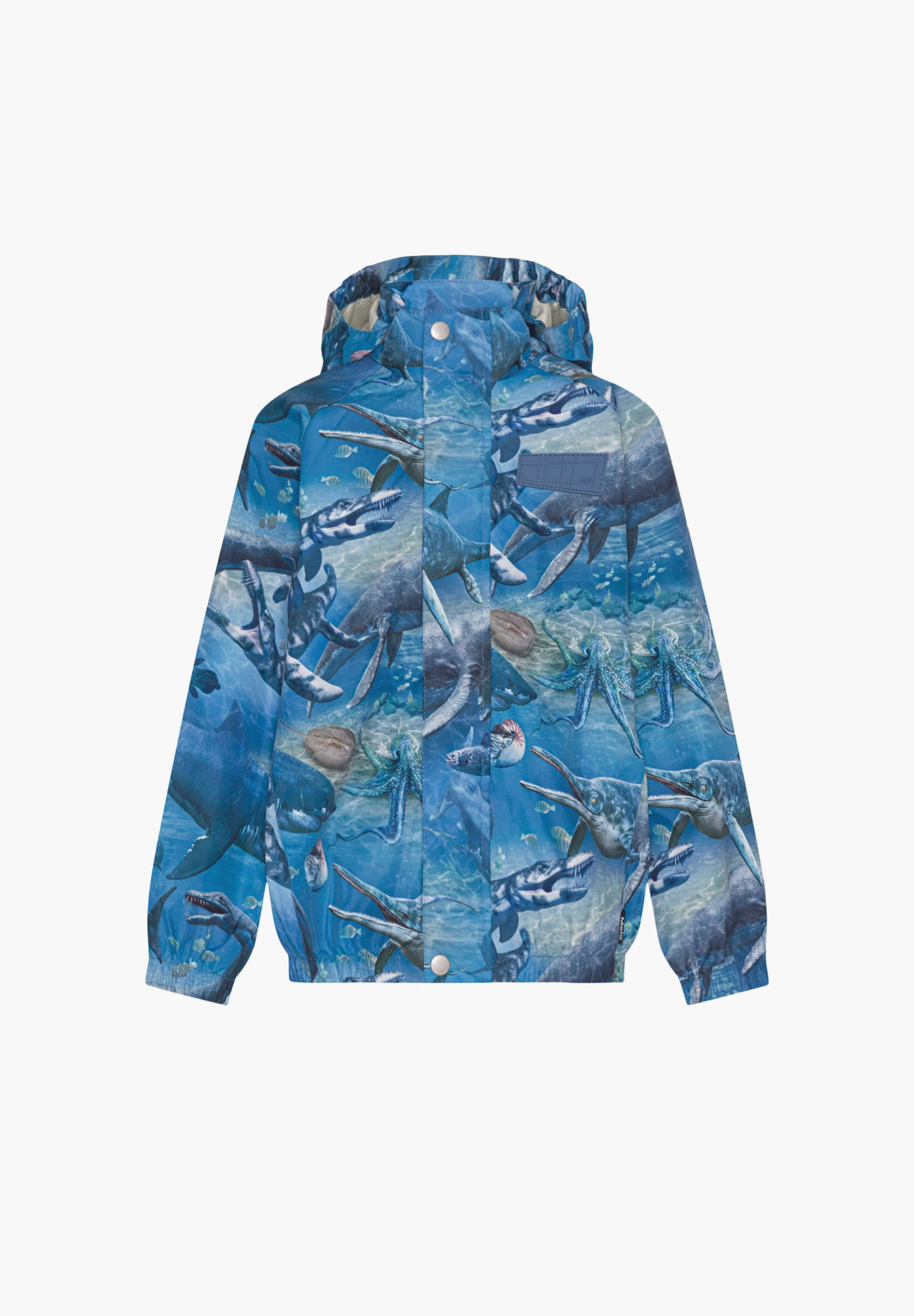 Waiton Big Ancient Sea