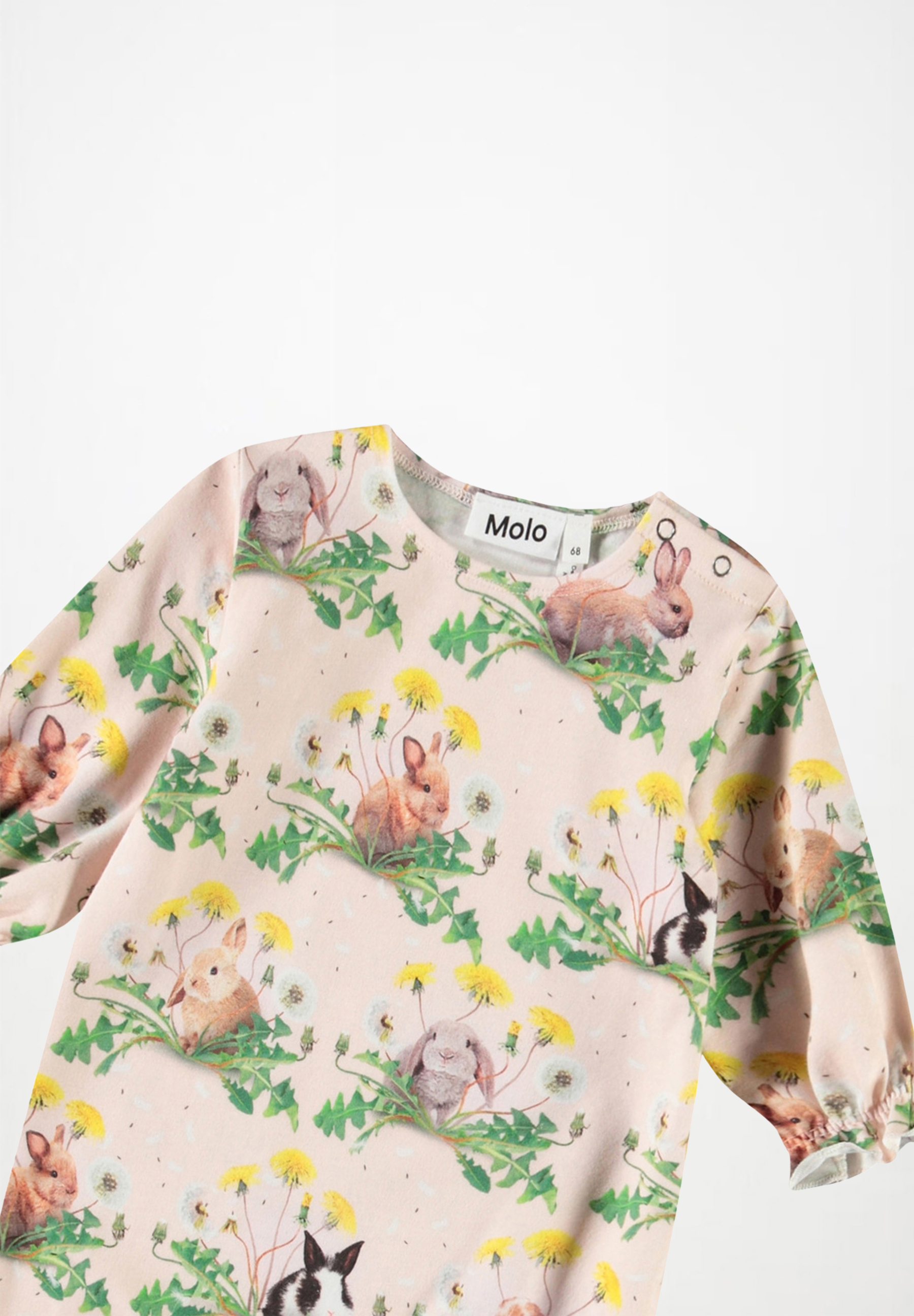 Florina Bunnies United