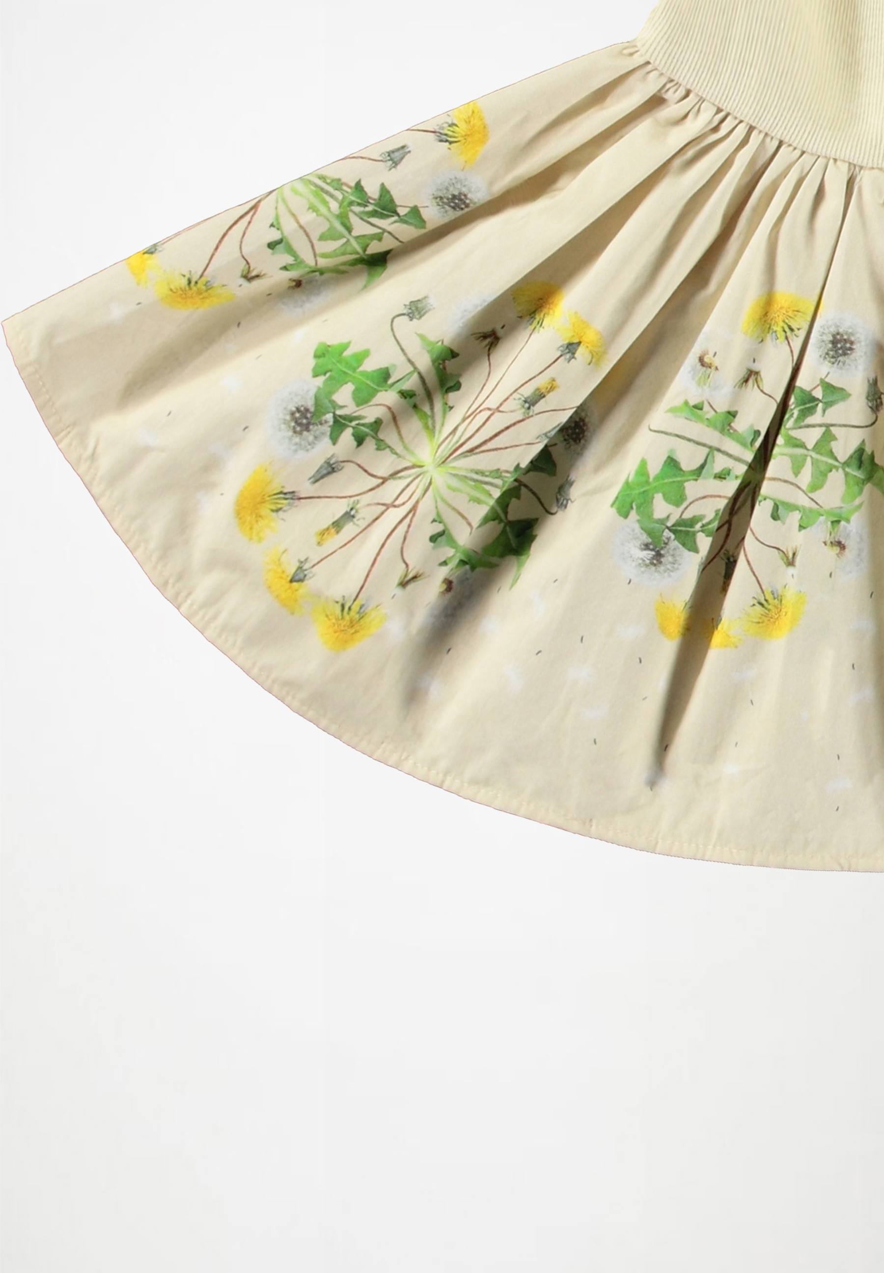 Candi Baby Dandelion