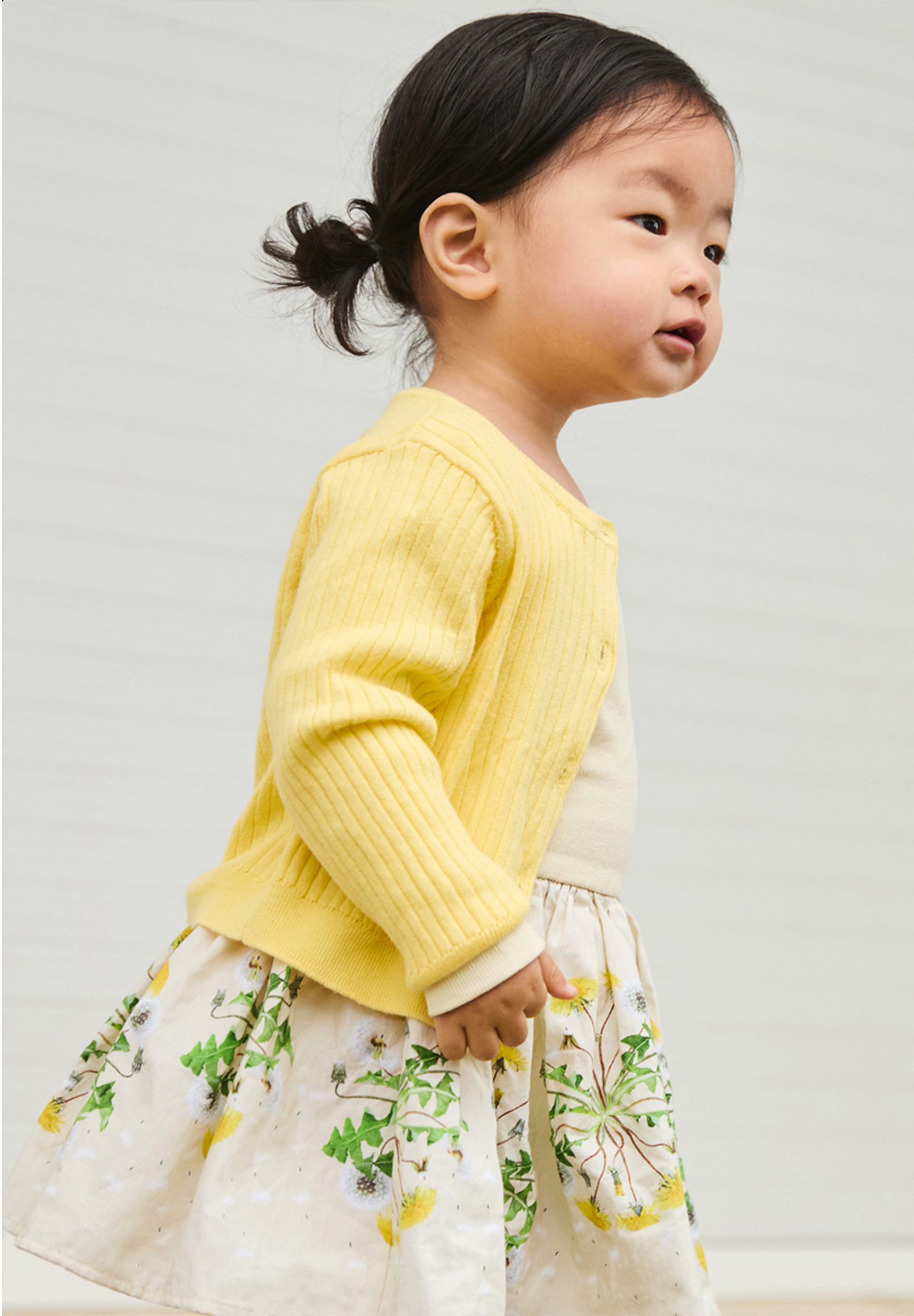 Candi Baby Dandelion