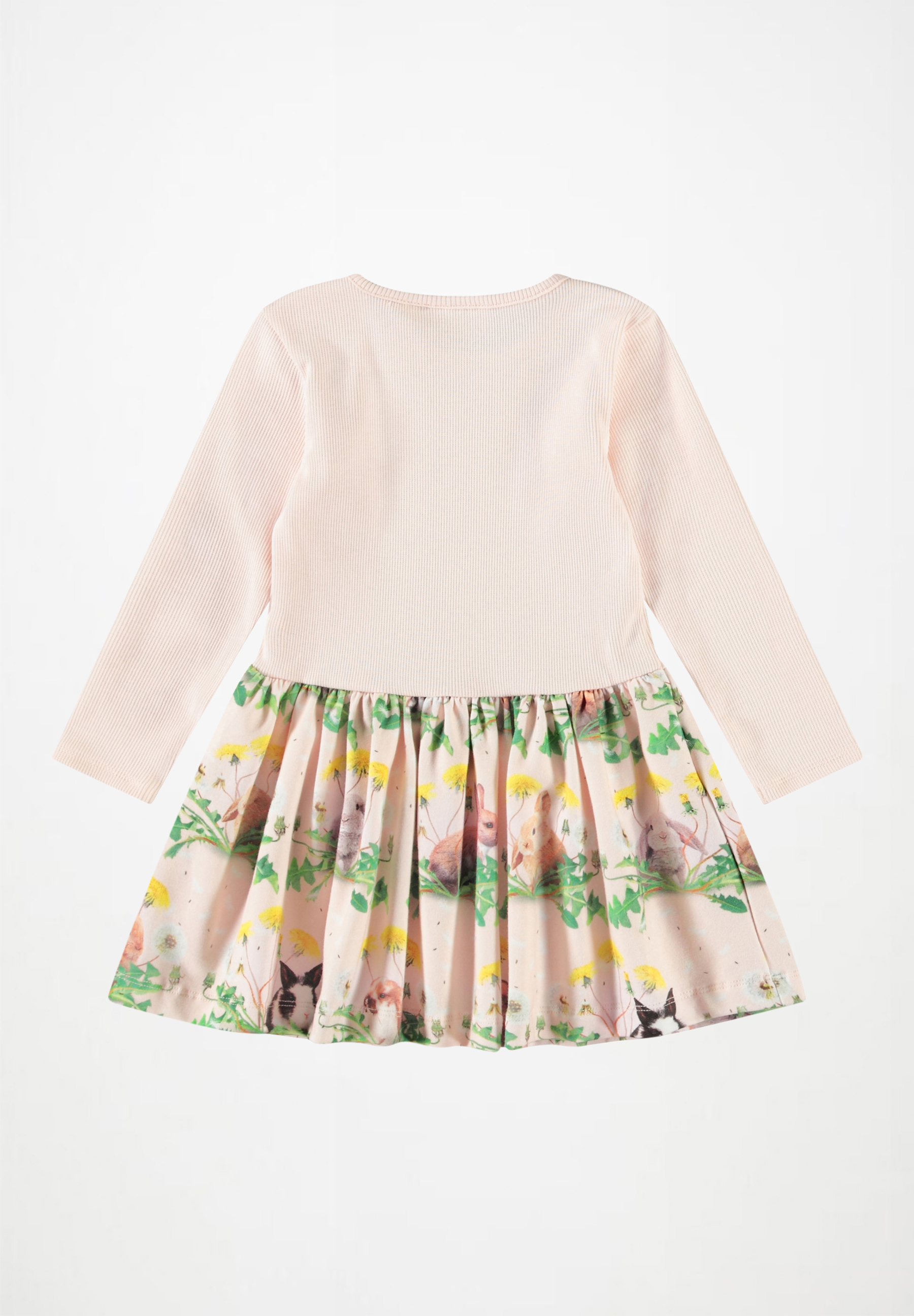 Carel Bunnies United