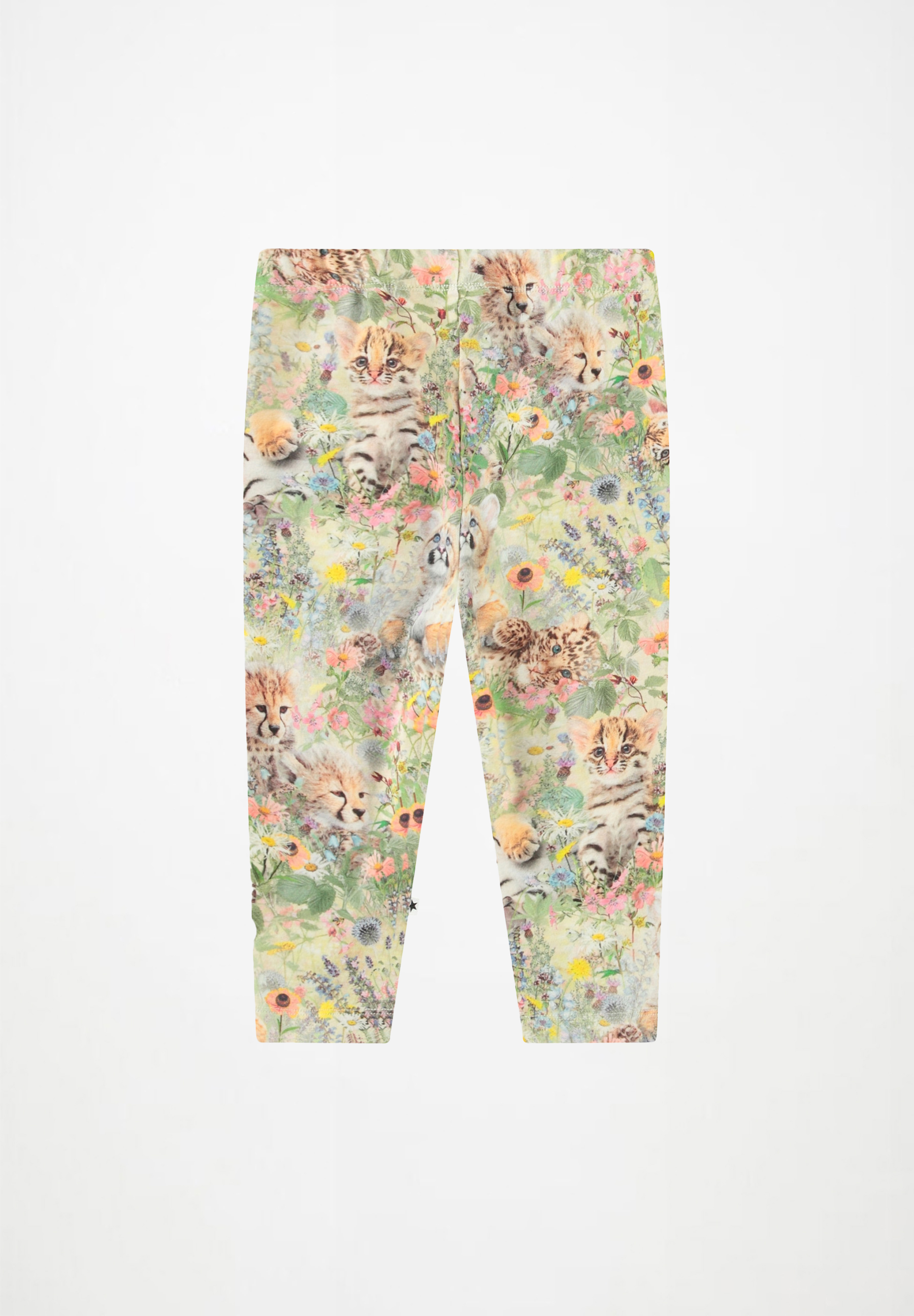 Stefanie Meadow Cubs