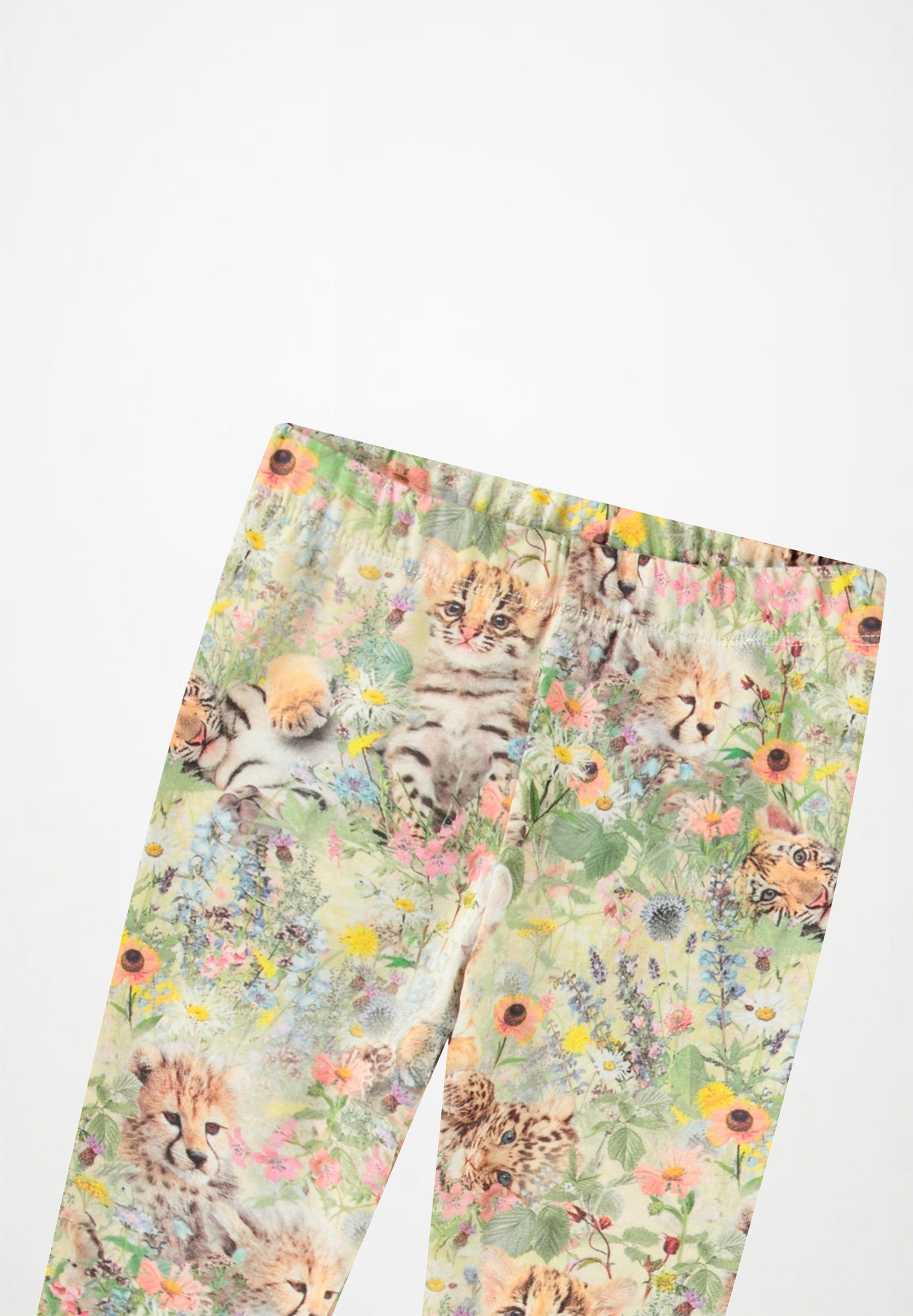 Stefanie Meadow Cubs