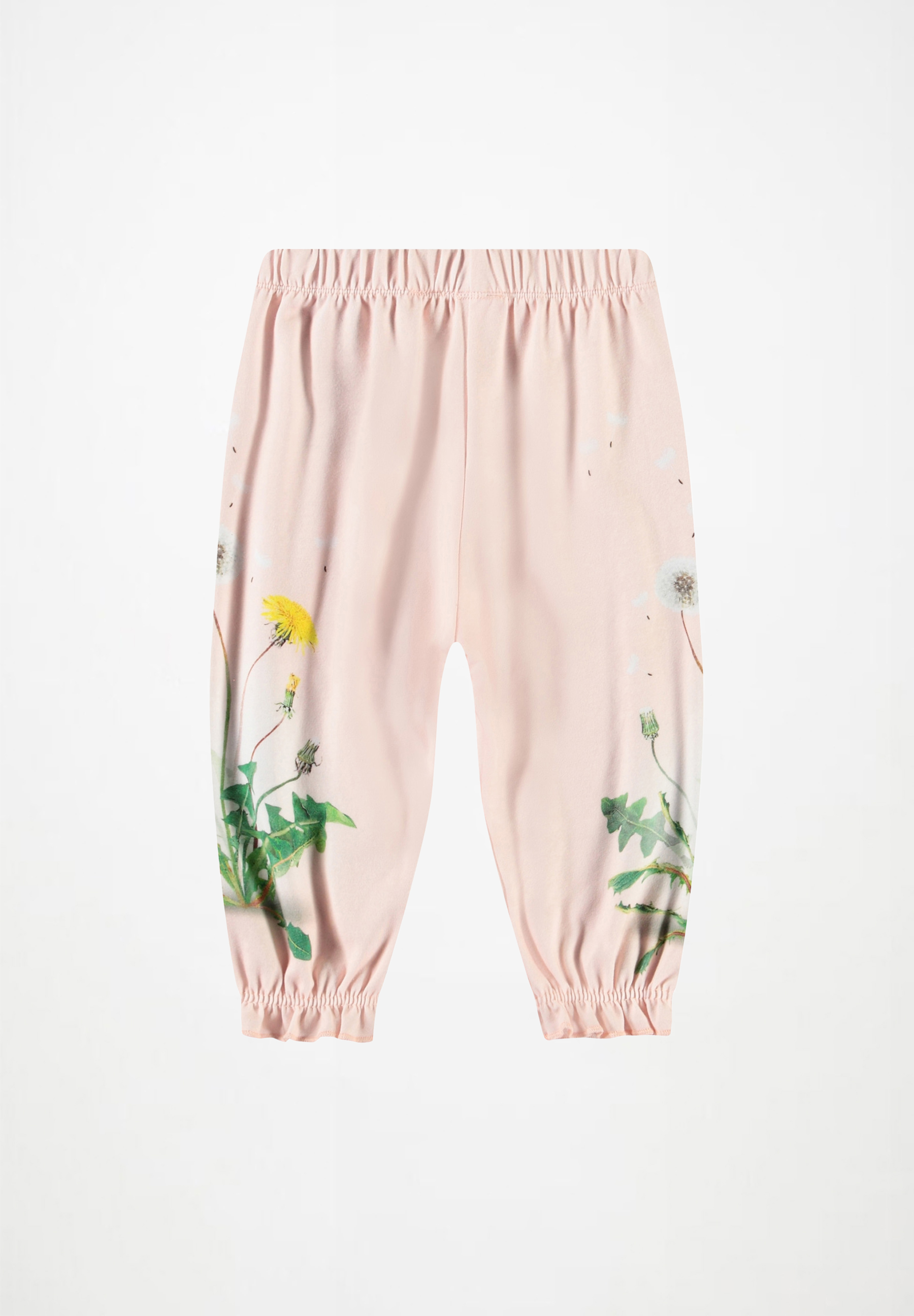 Selena Dandelion Garden