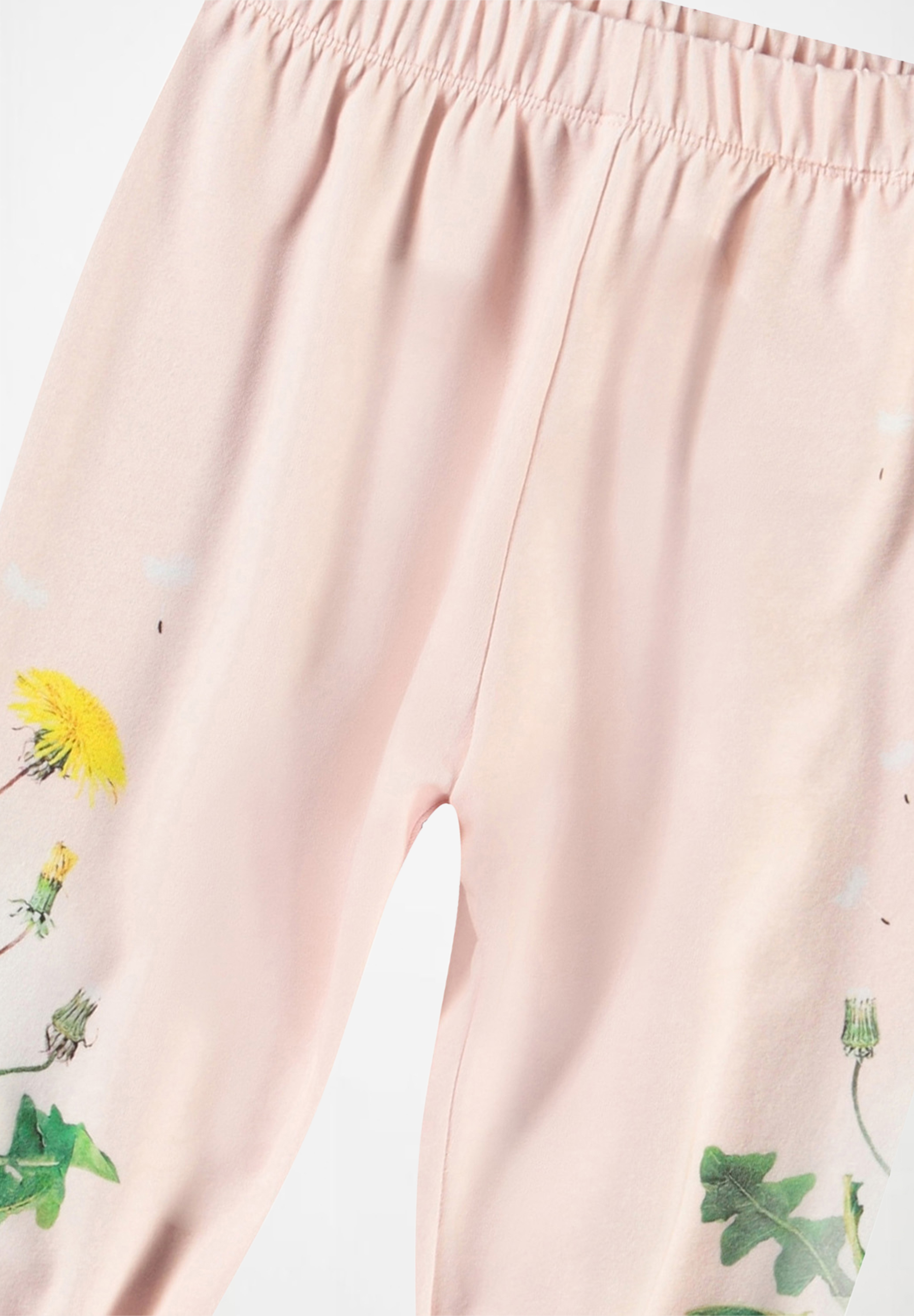 Selena Dandelion Garden