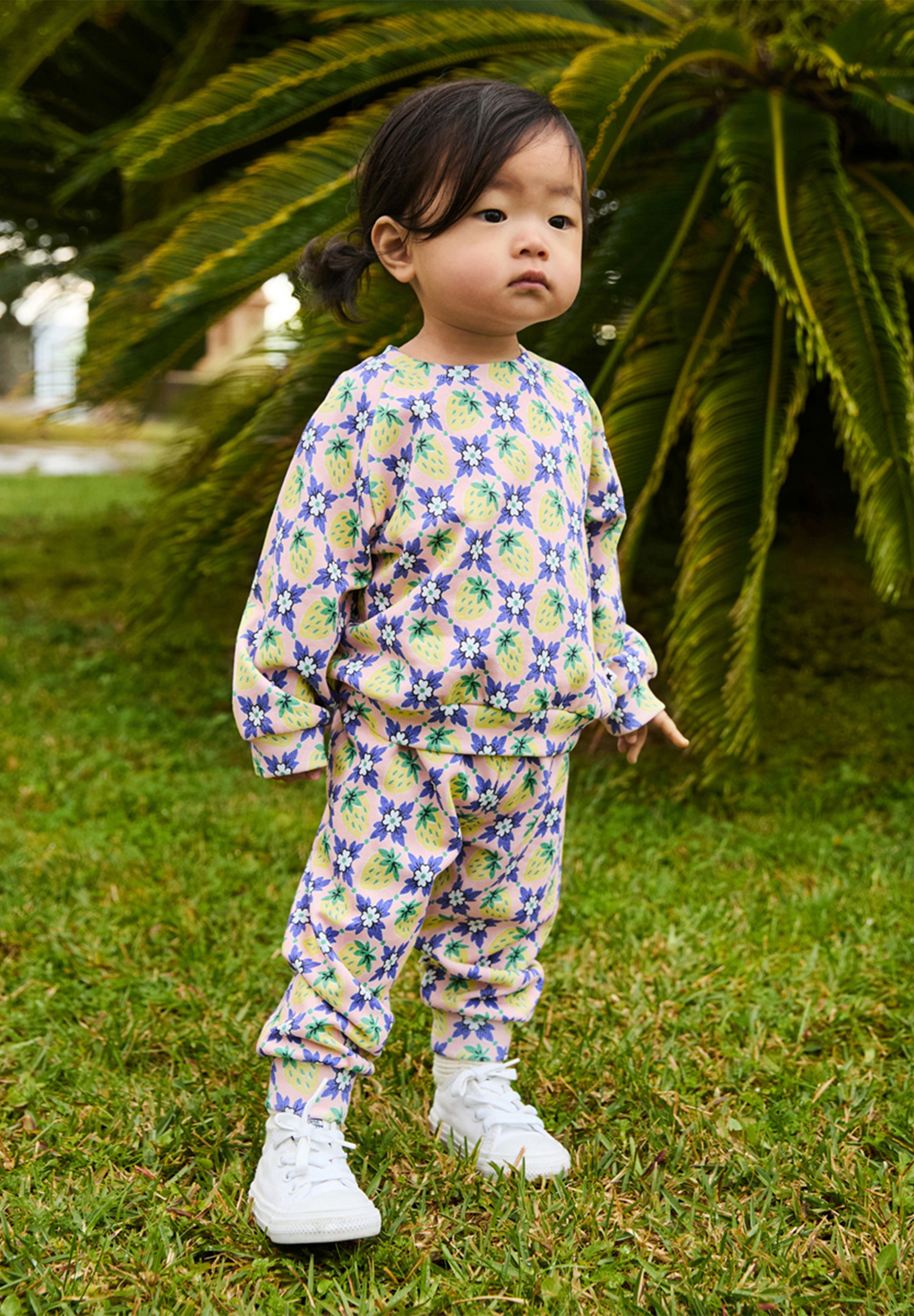 Disc Vintage Berries