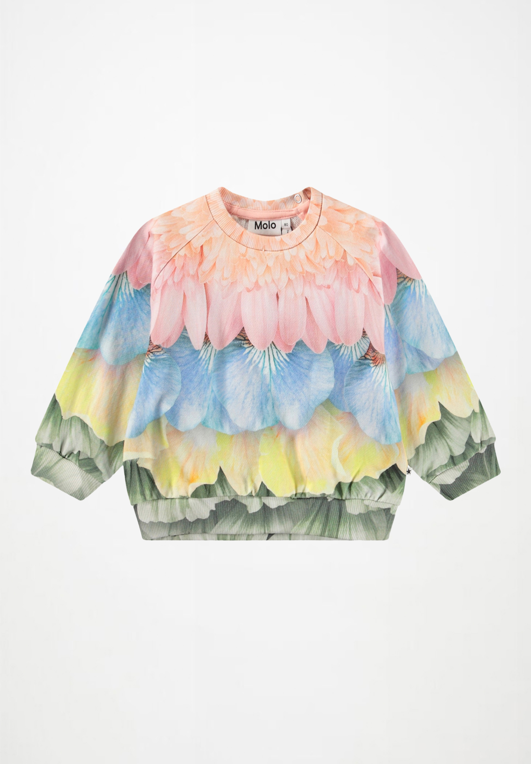 Disc Set Petal Rainbow