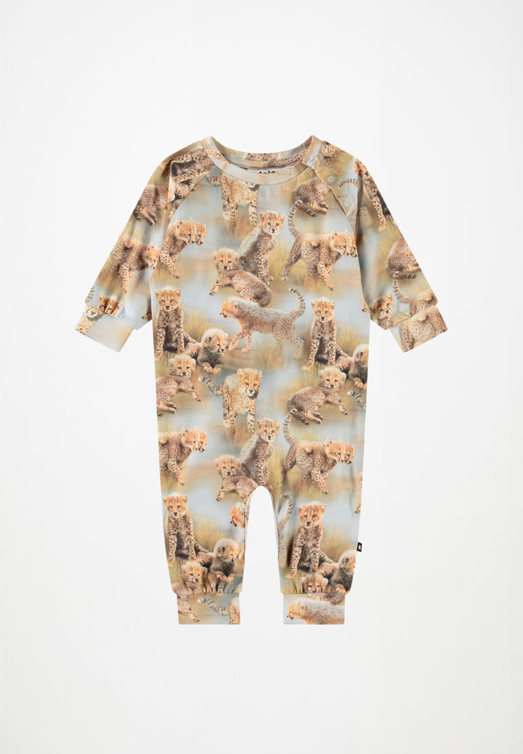 Fairfax Cheetah Cubs