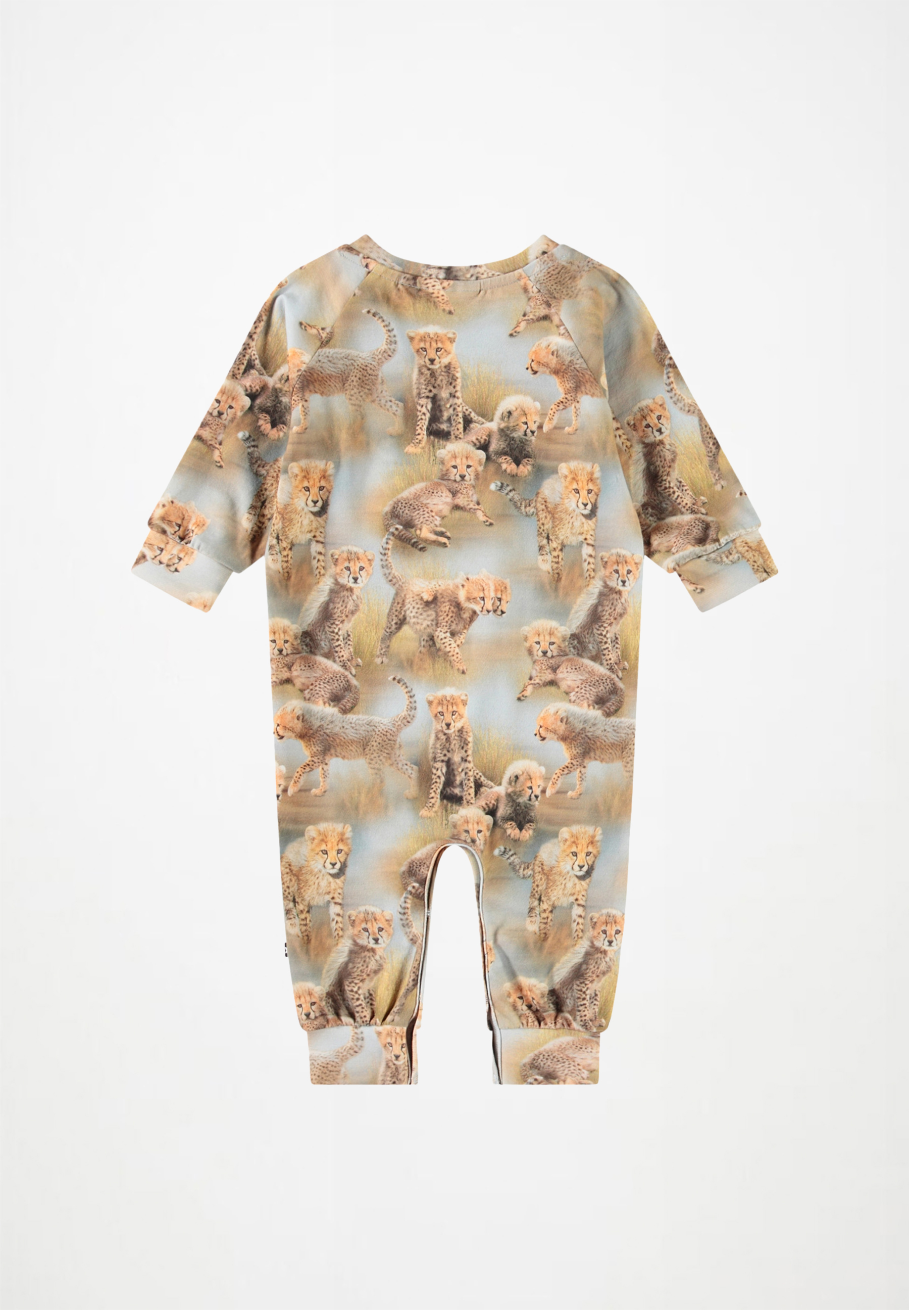 Fairfax Cheetah Cubs