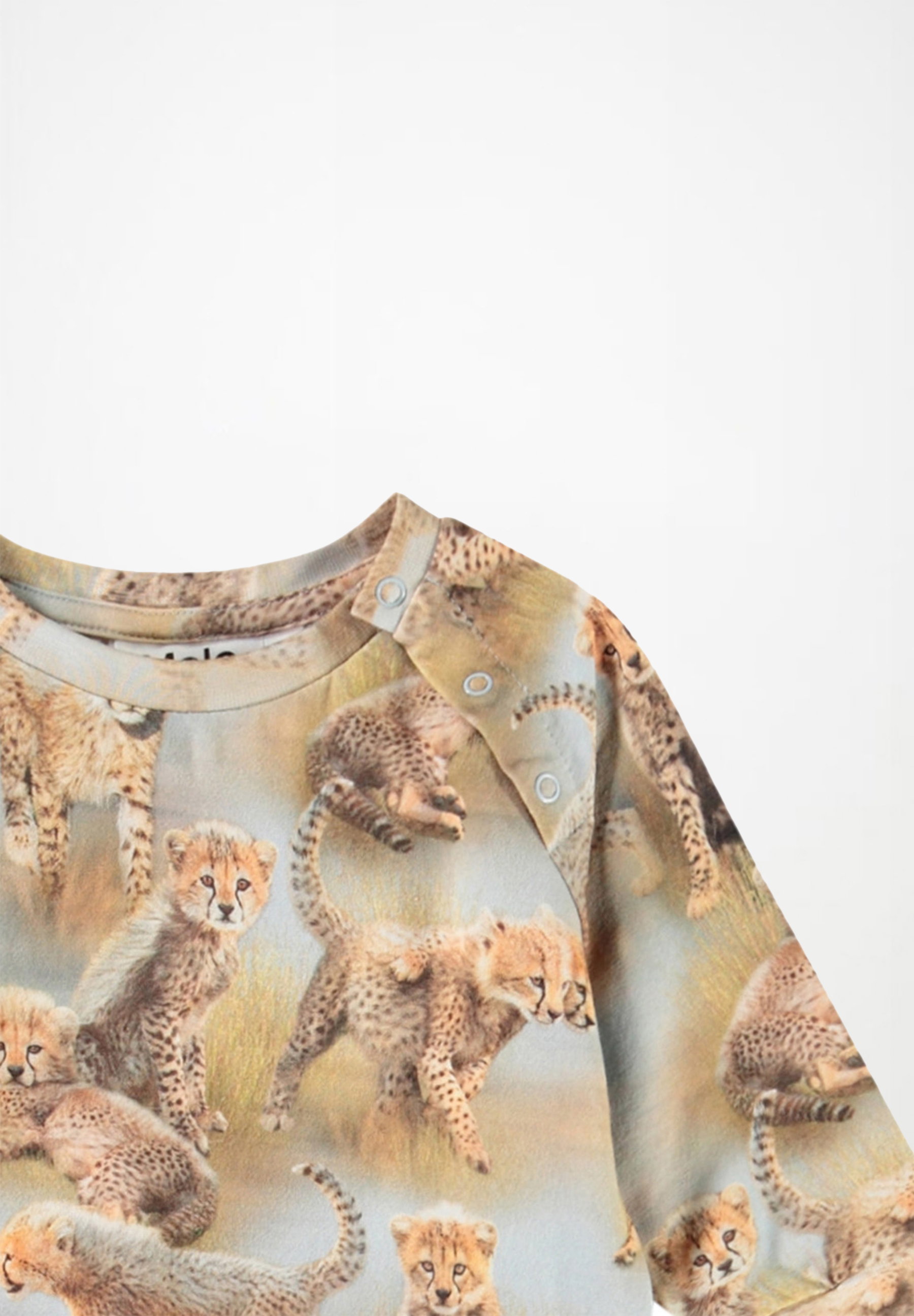 Fairfax Cheetah Cubs
