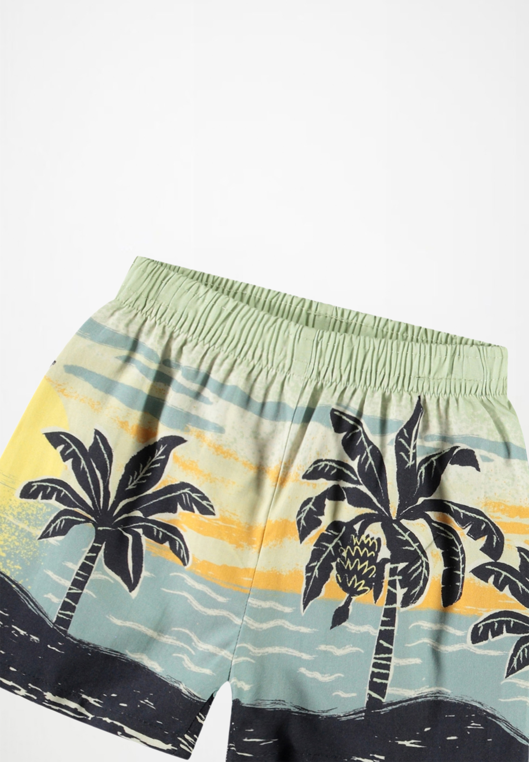 Solar Palm Babynanas