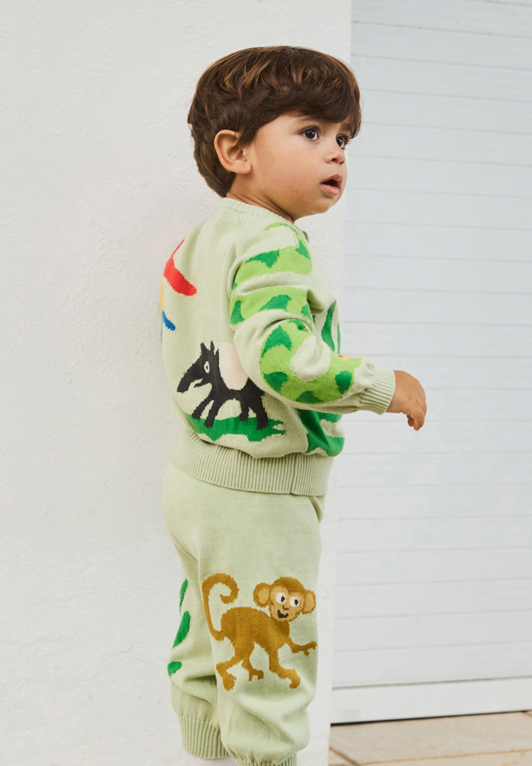 Brody set Jungle Life