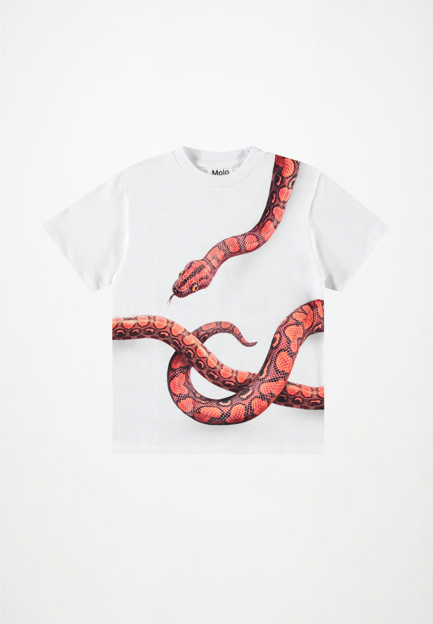Rubin Red Snake