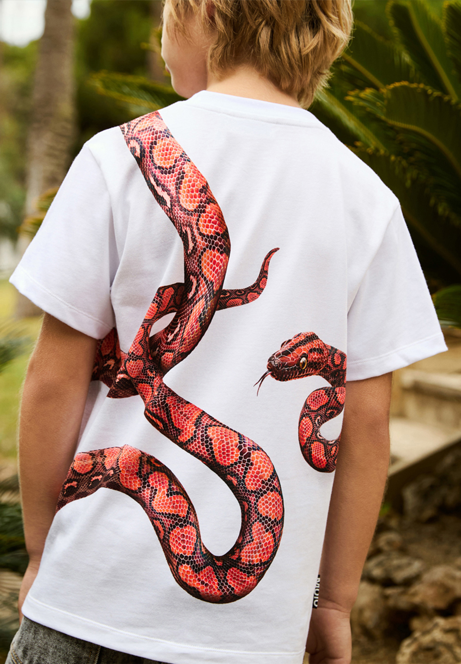 Rubin Red Snake