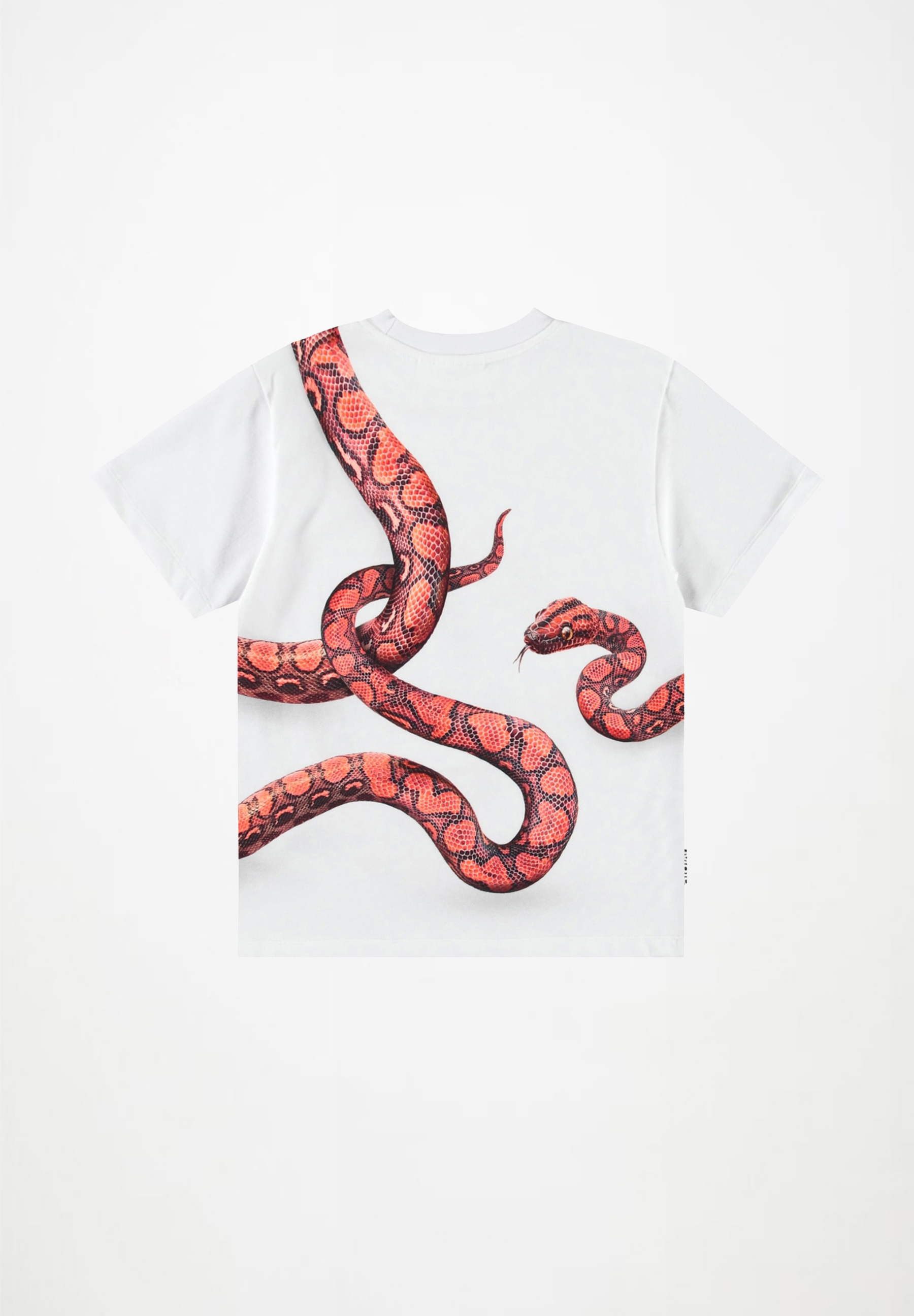Rubin Red Snake