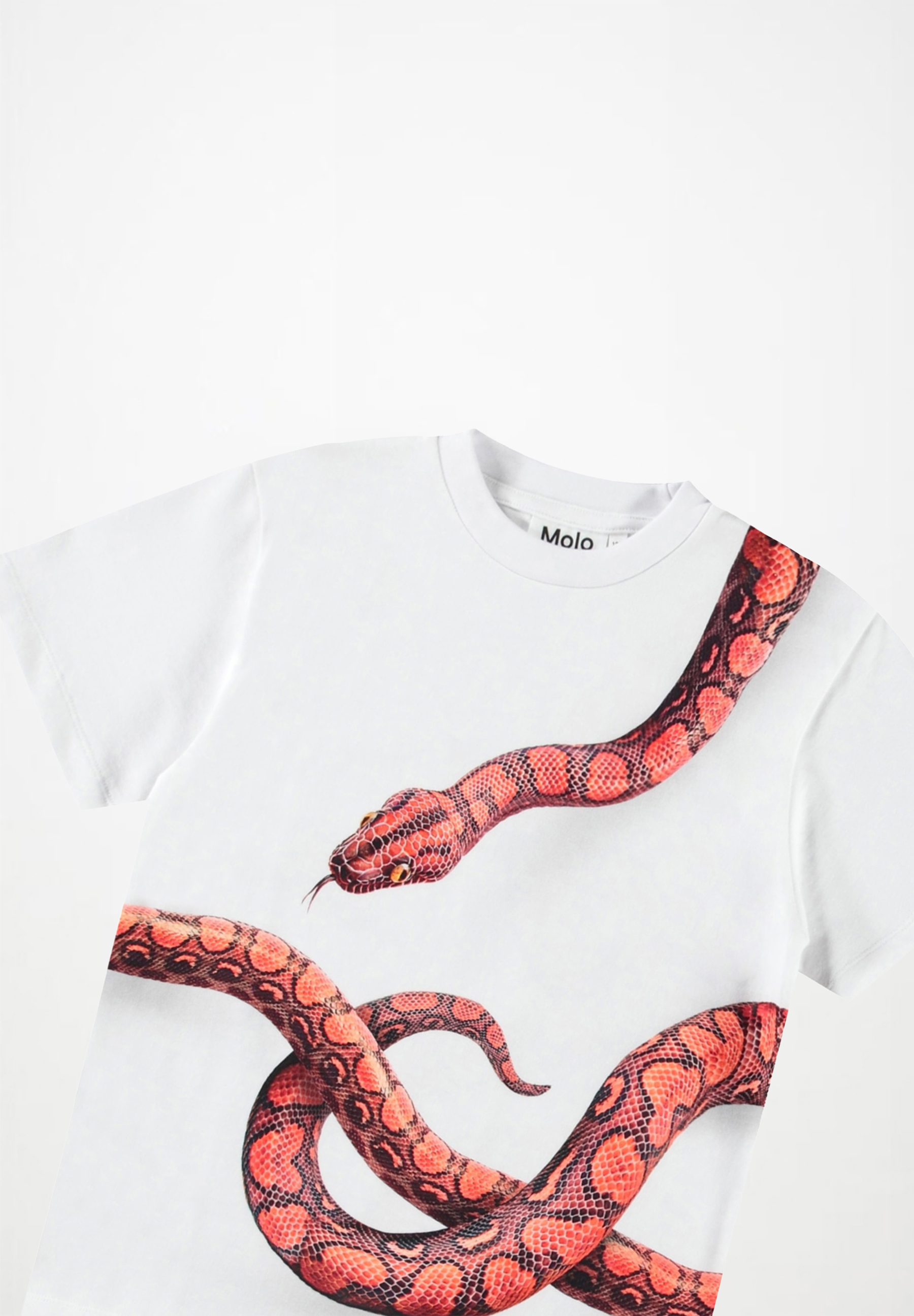 Rubin Red Snake