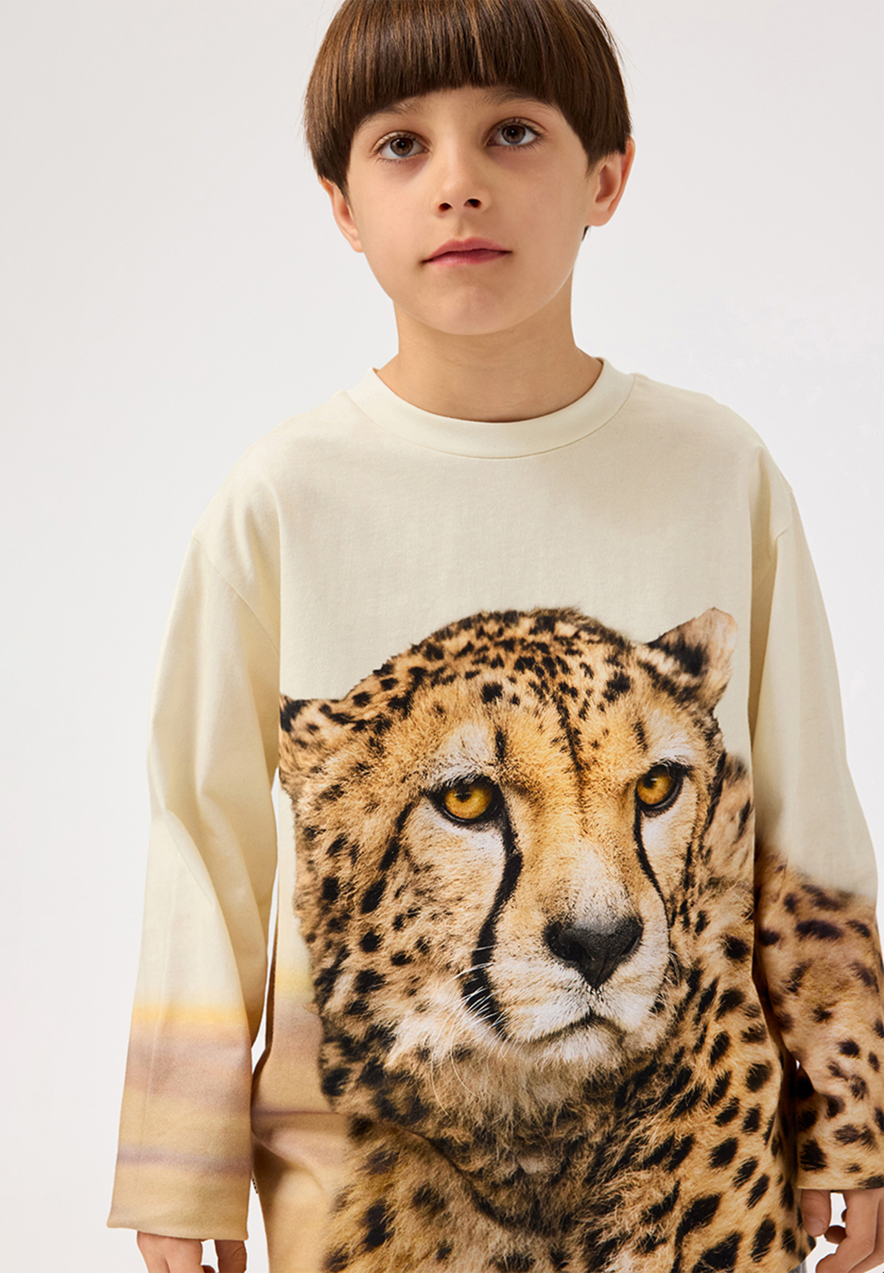 Rollo Big Cheetah Light