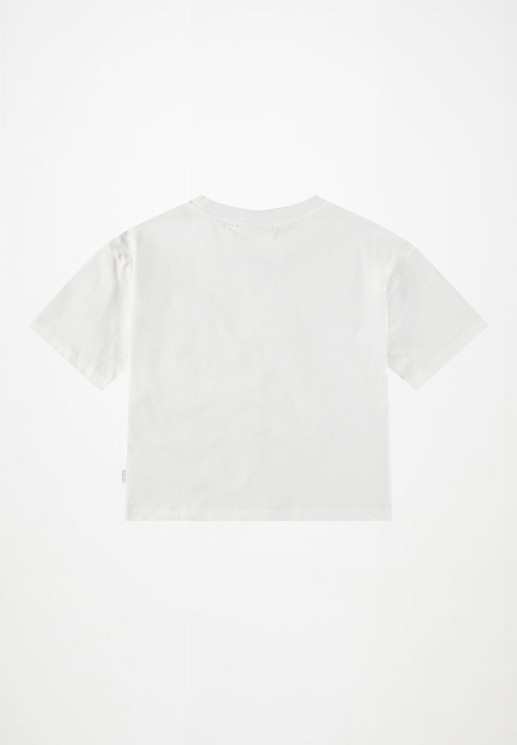 Reinette Crisp White