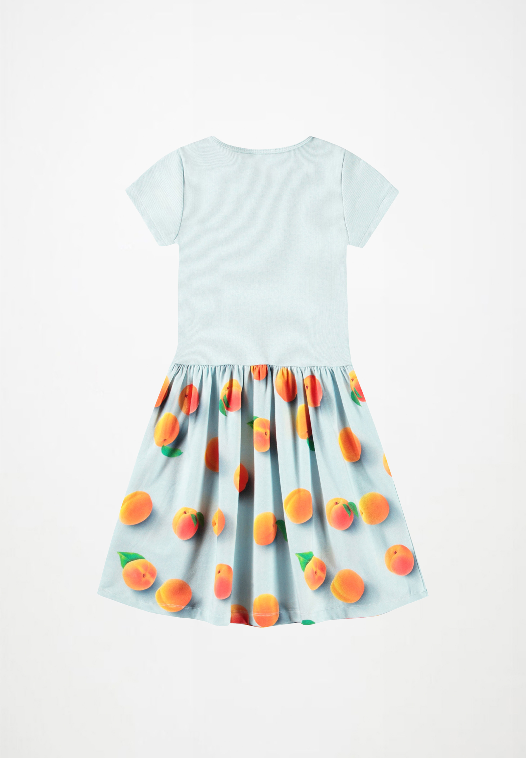 Cissa Fresh Apricots