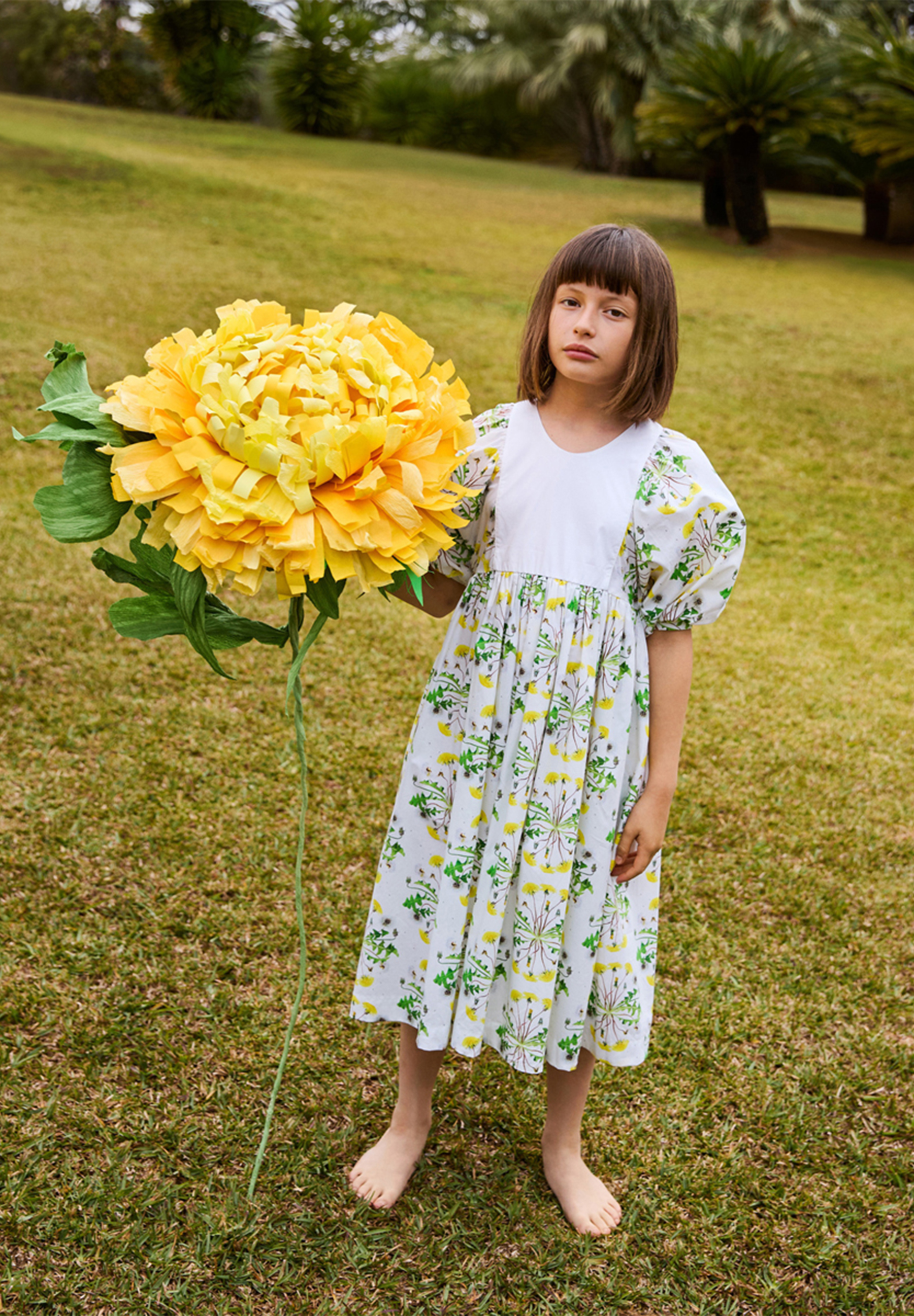 Cinzia Dandelion Dotty