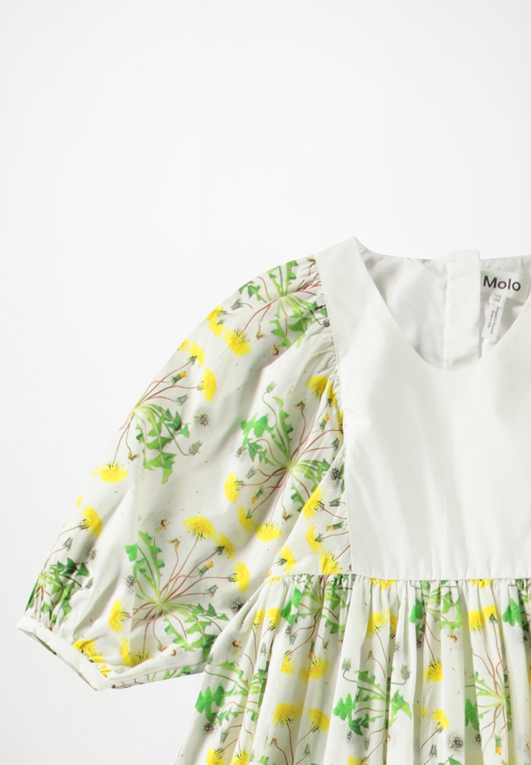 Cinzia Dandelion Dotty