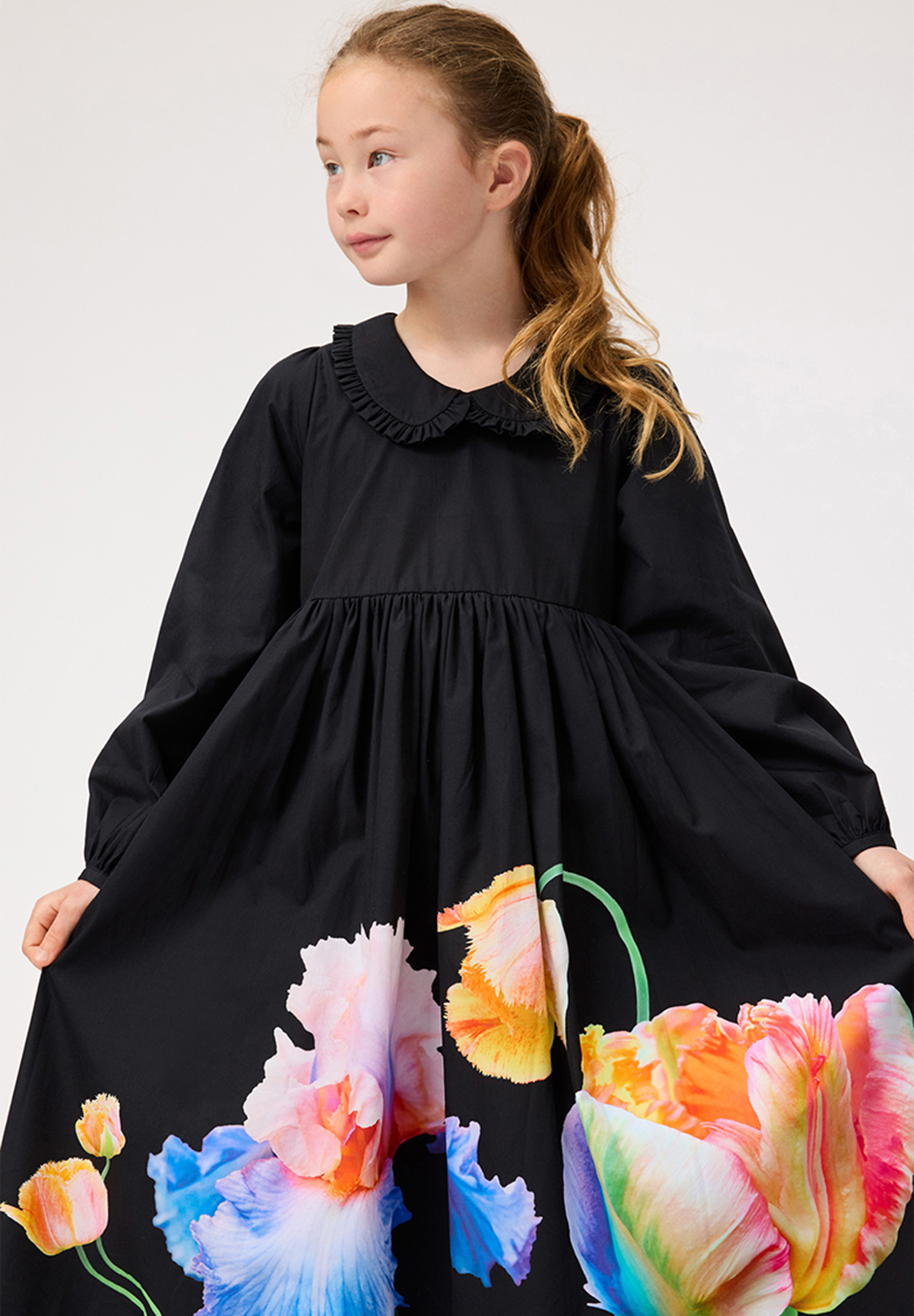 Corinne Night Tulips