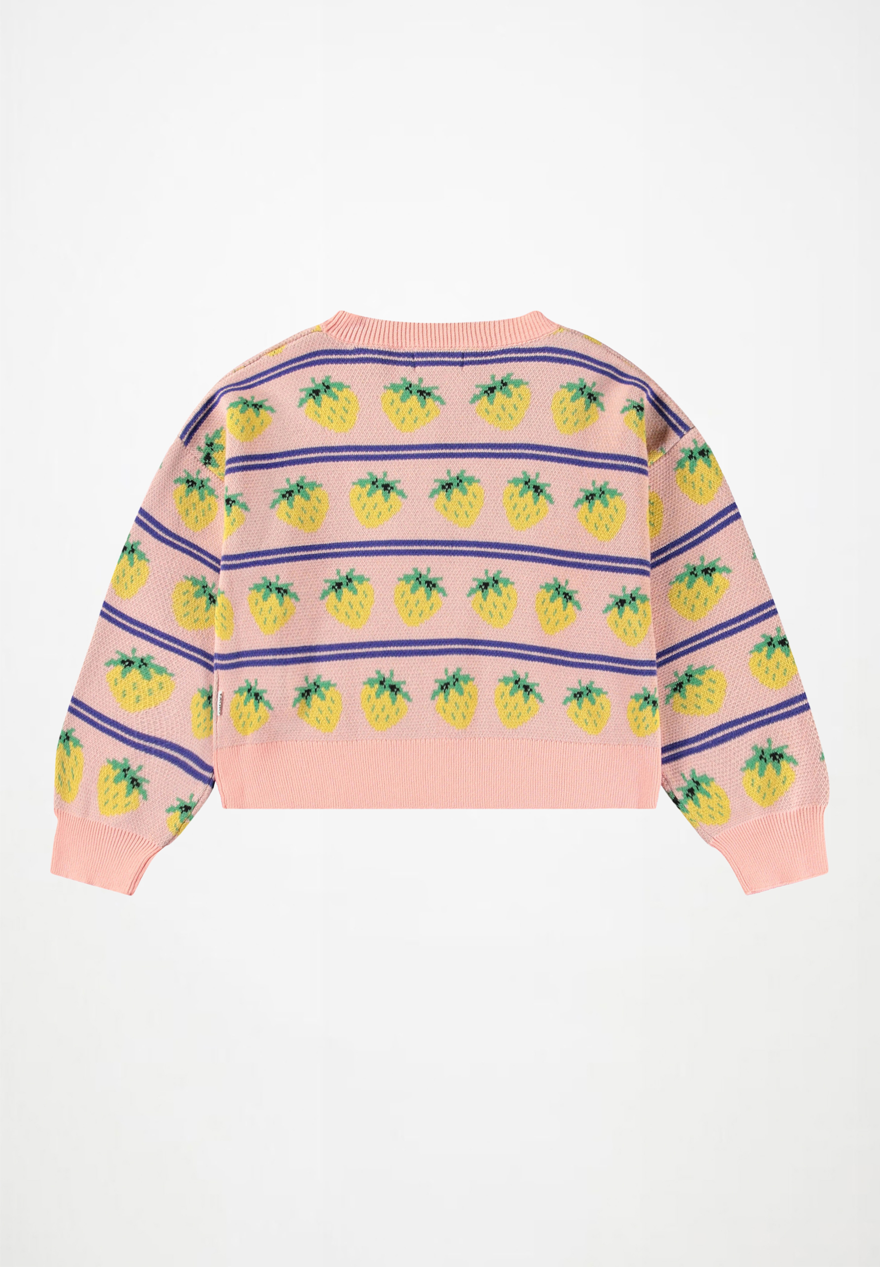 Gerrie Nature Fruits