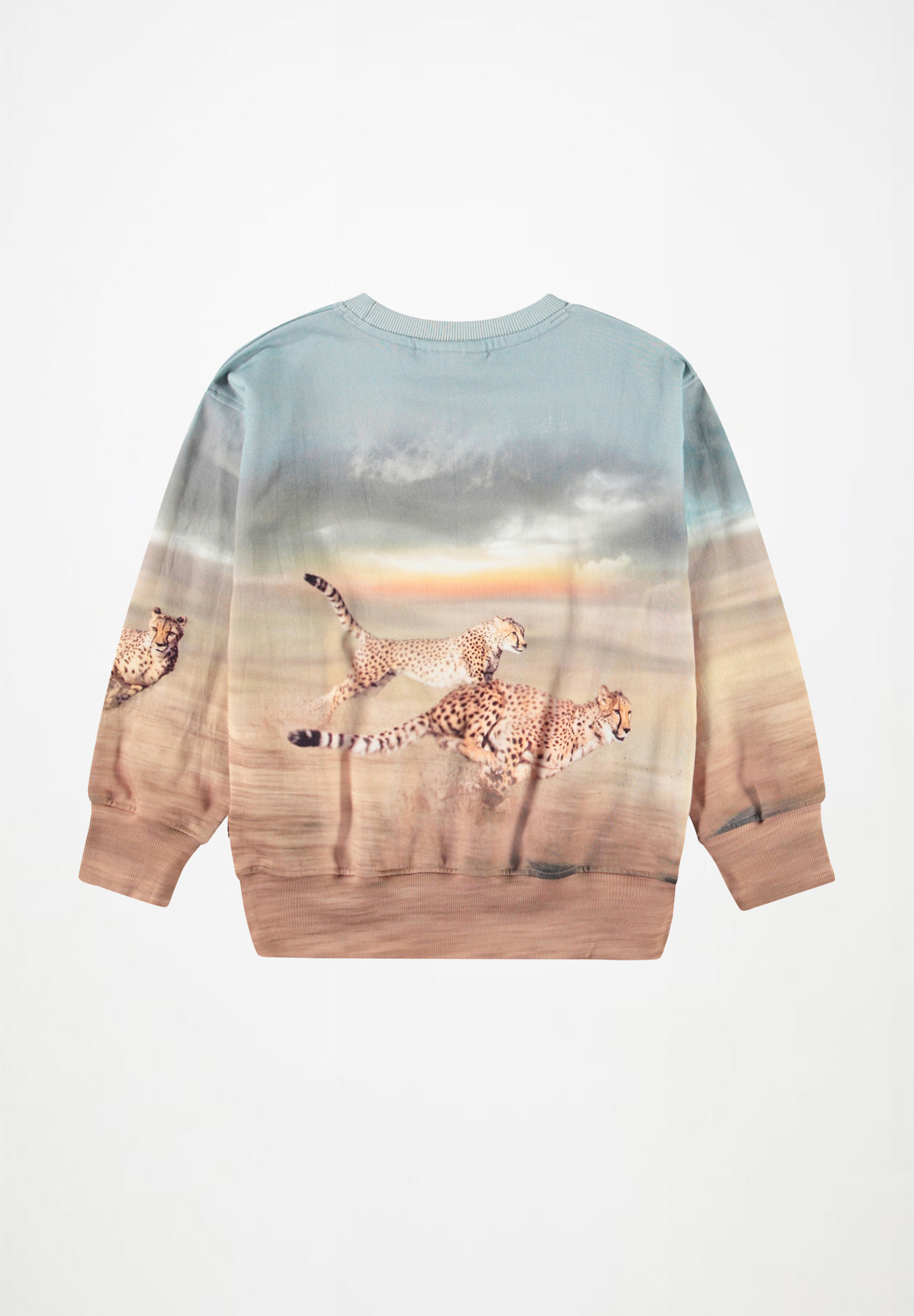 Mattis Running Cheetahs