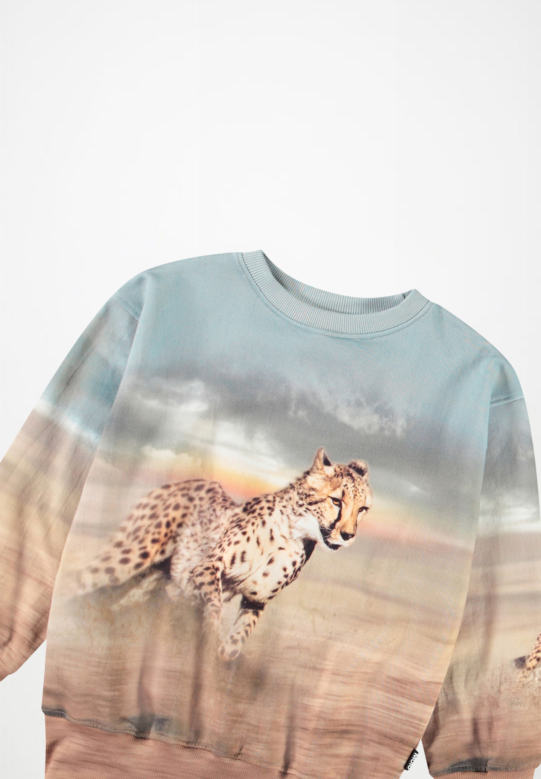 Mattis Running Cheetahs