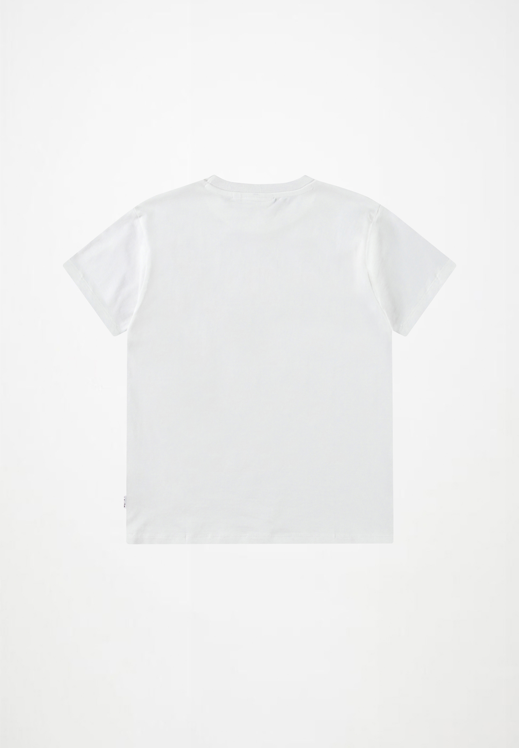 Riley Pink Dandelion