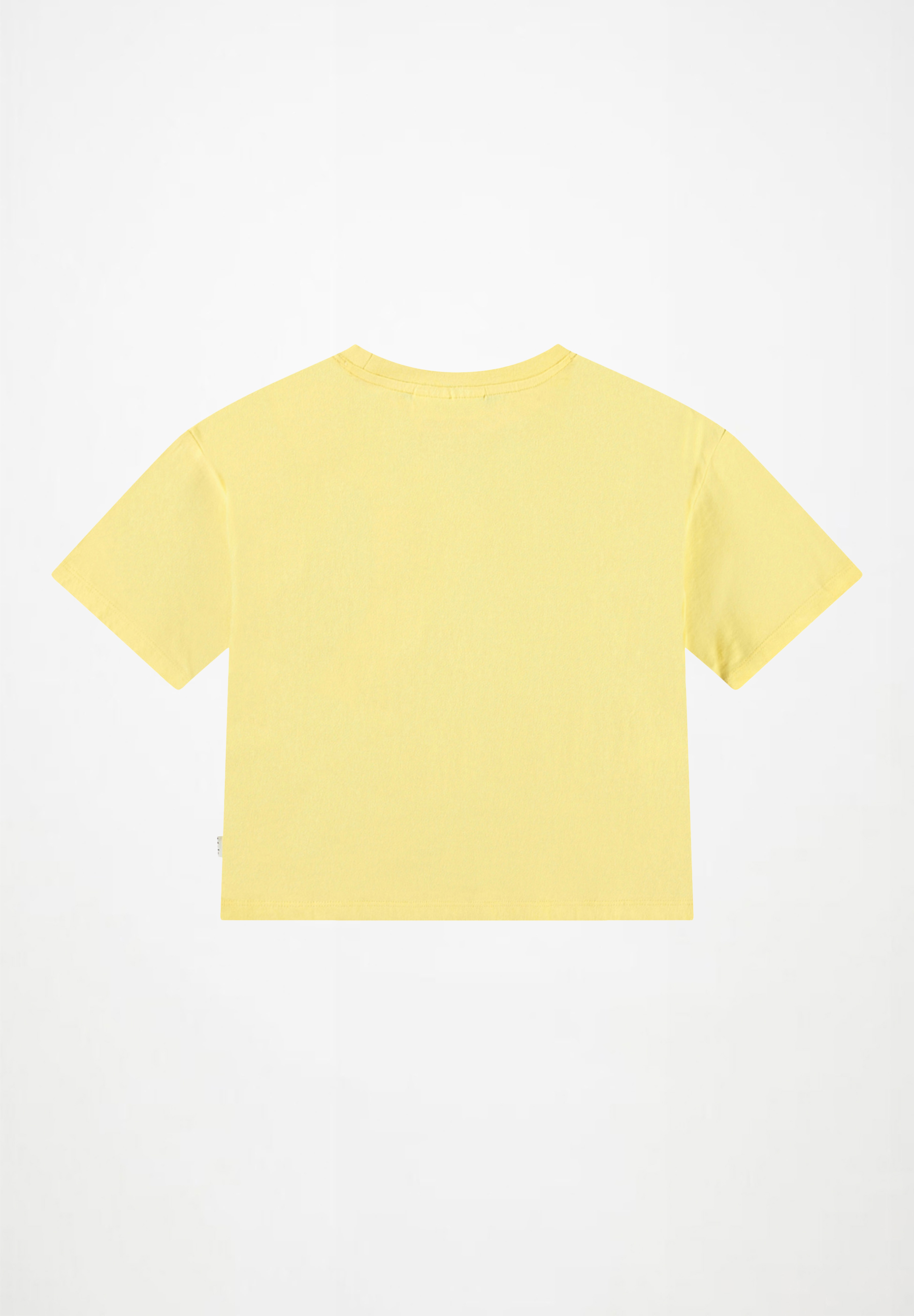 Reinette Friendly Flowers