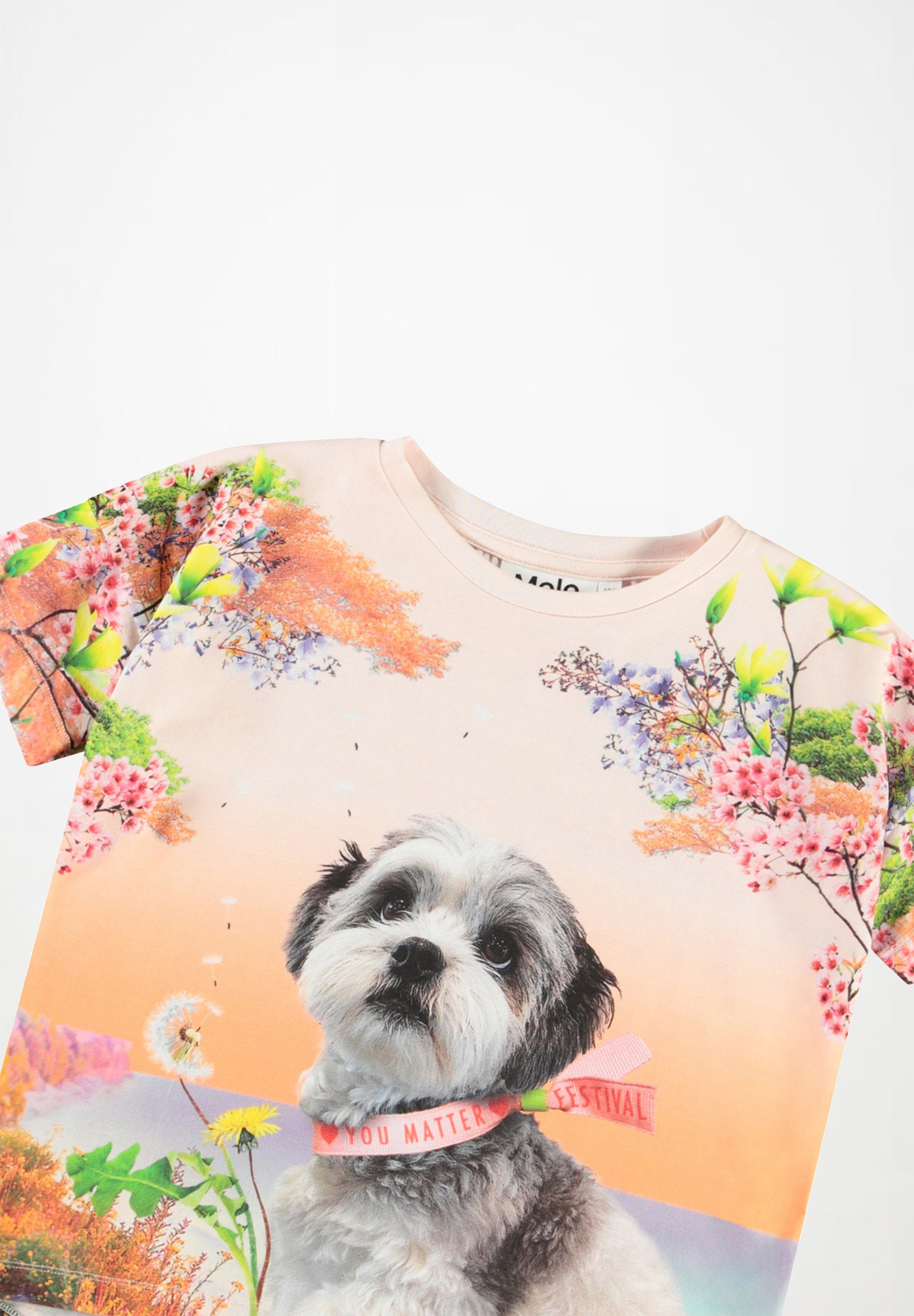 Raeesa Festivalgoers